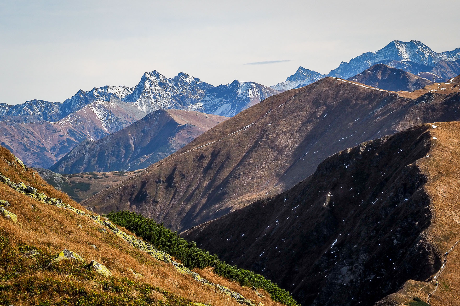 Volovec z Račkovej doliny, ATC (Západné Tatry)