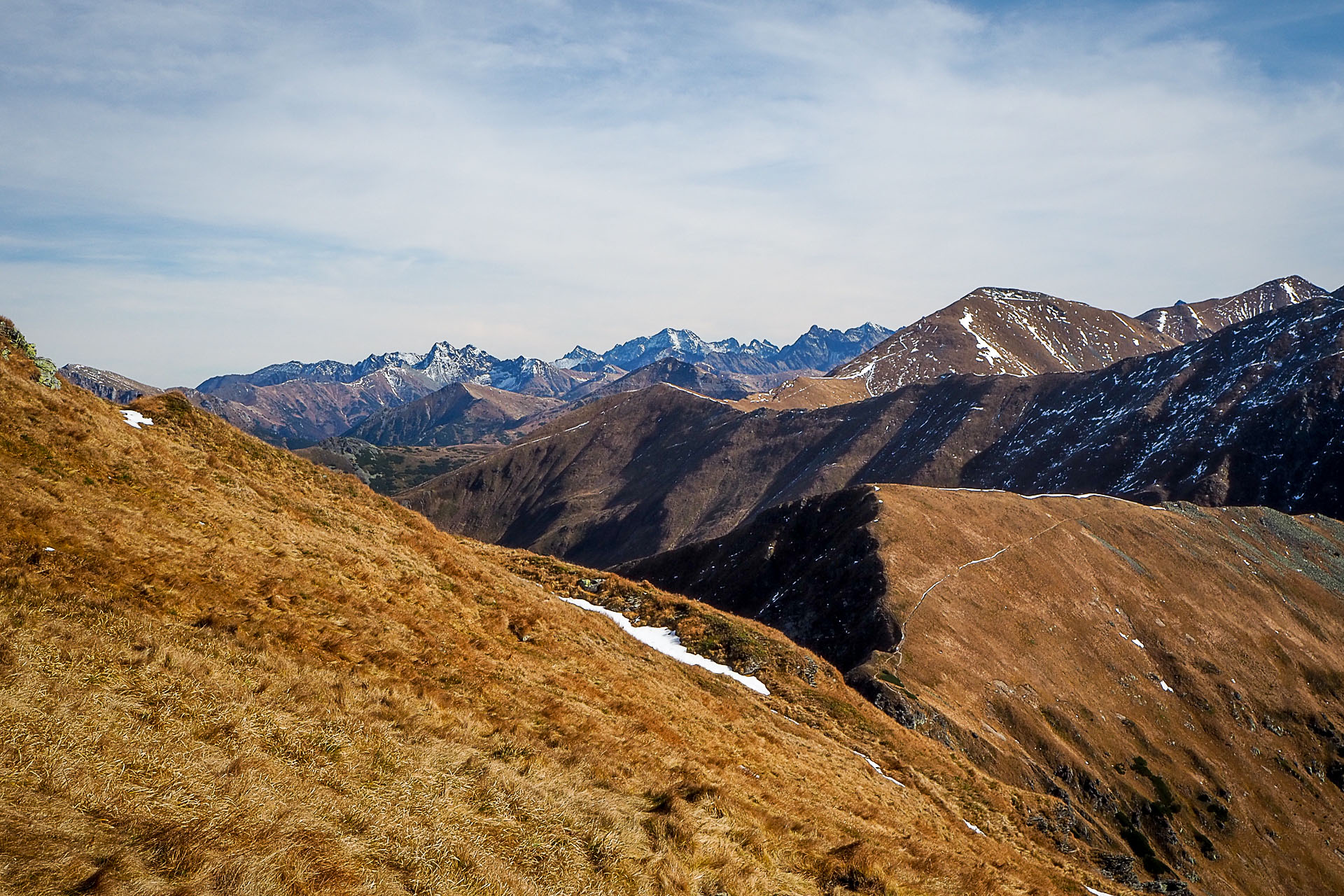 Volovec z Račkovej doliny, ATC (Západné Tatry)