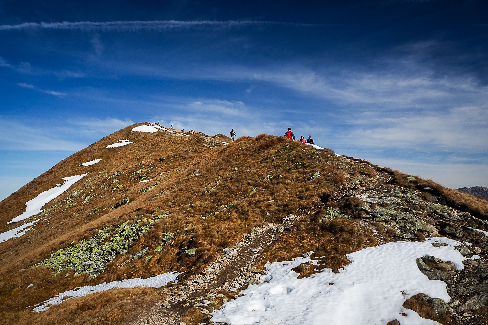 Volovec z Račkovej doliny, ATC (Západné Tatry)