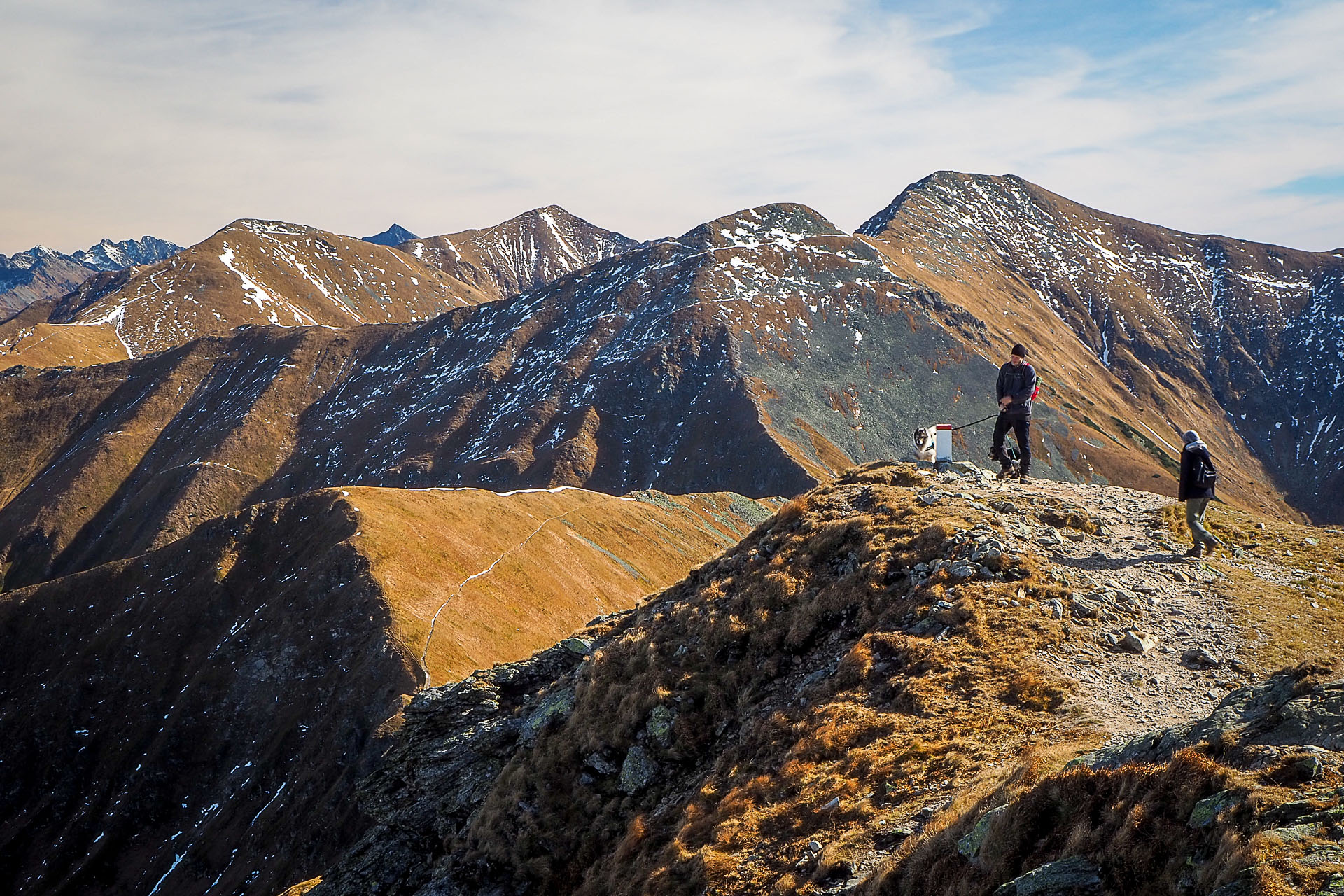 Volovec z Račkovej doliny, ATC (Západné Tatry)