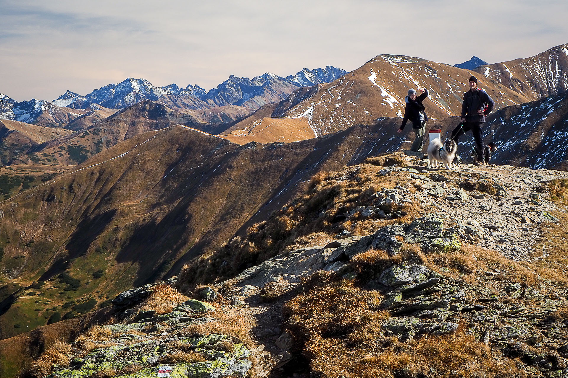 Volovec z Račkovej doliny, ATC (Západné Tatry)