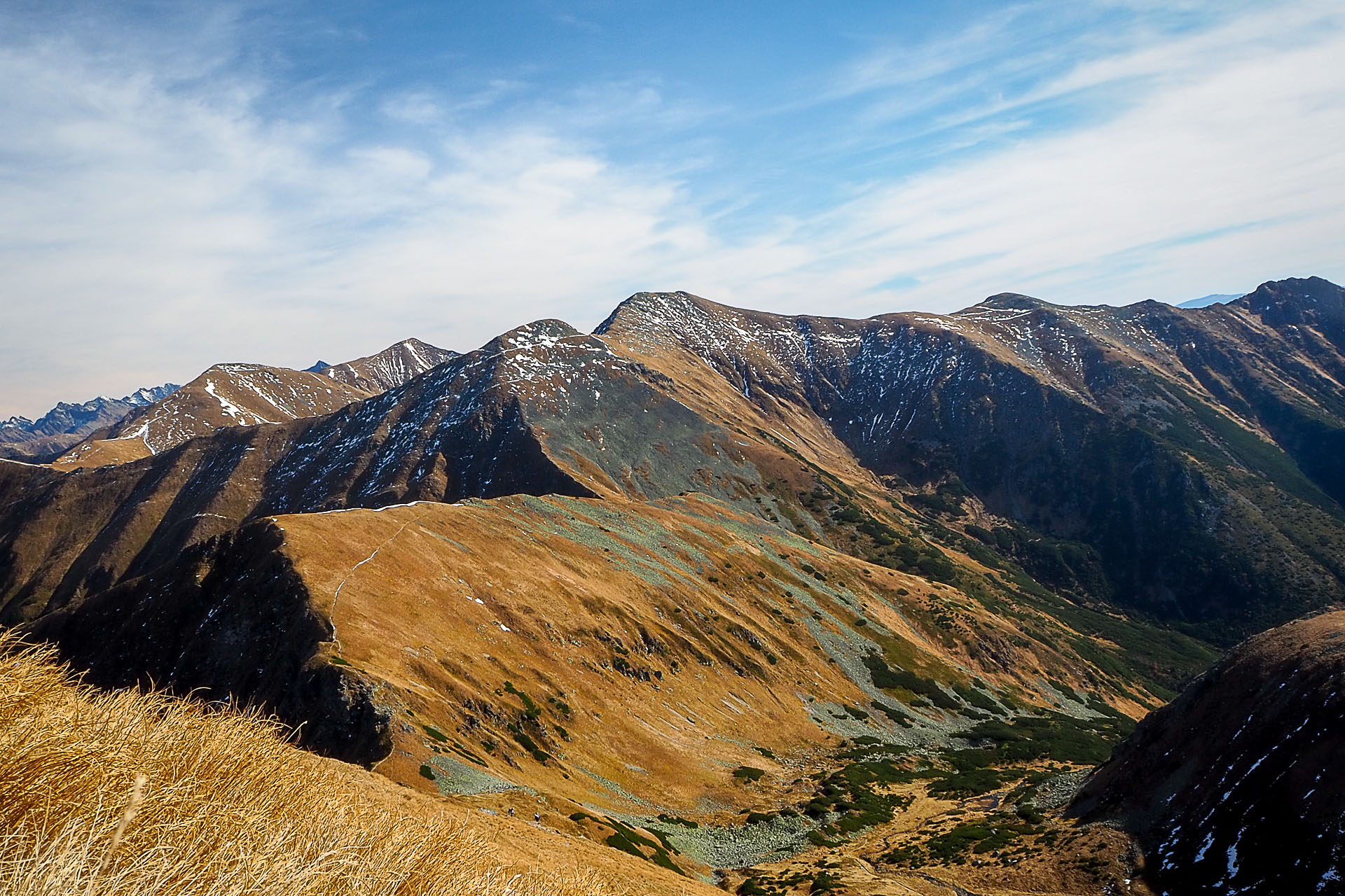 Volovec z Račkovej doliny, ATC (Západné Tatry)