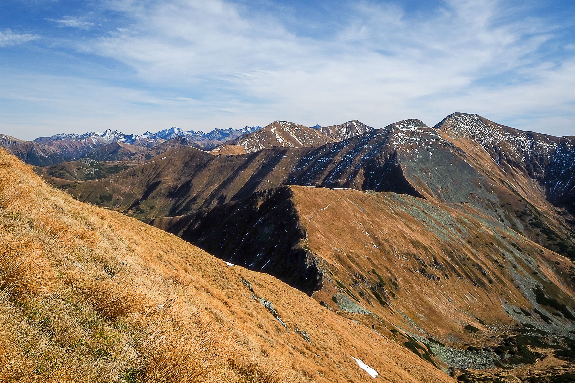 Volovec z Račkovej doliny, ATC (Západné Tatry)