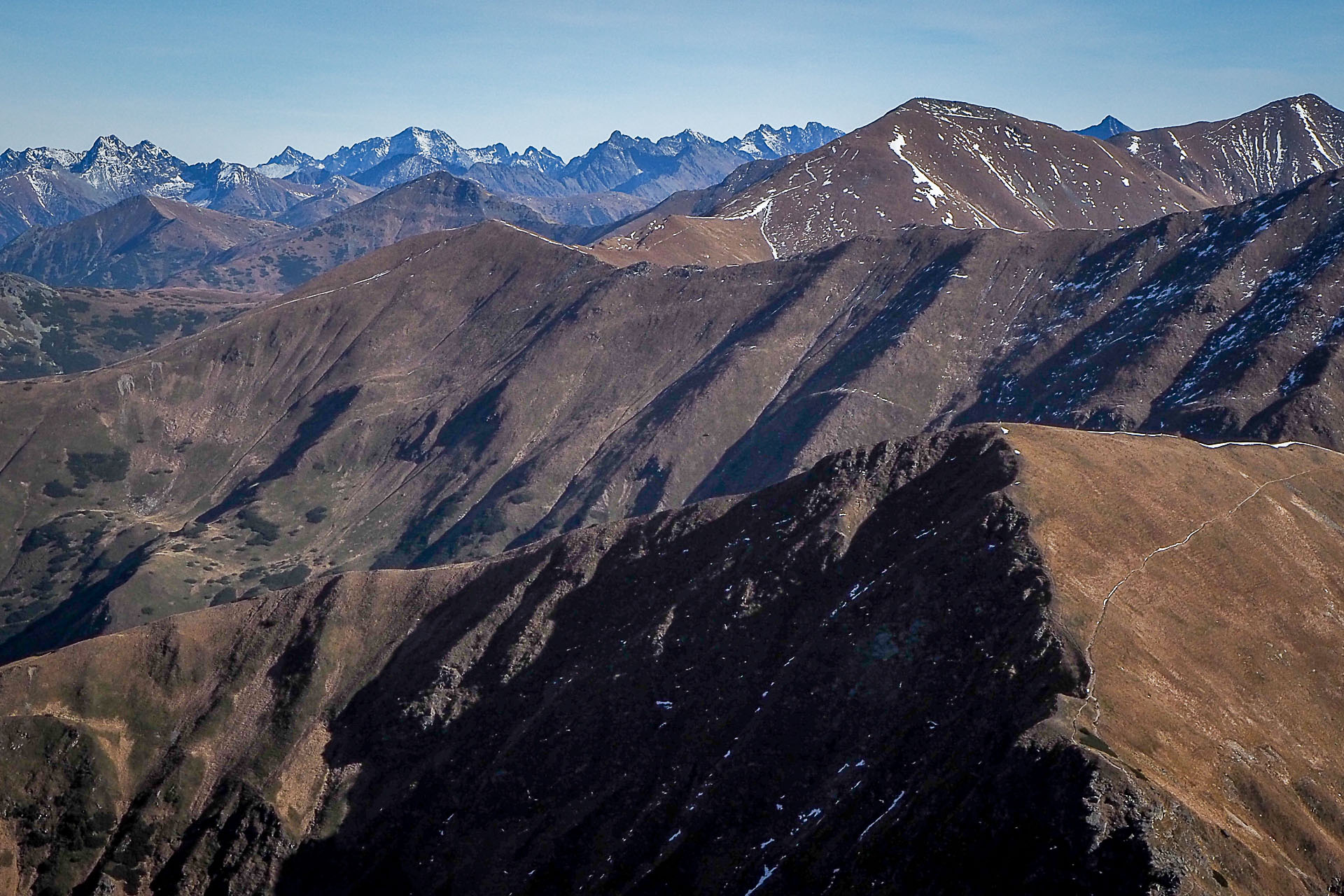 Volovec z Račkovej doliny, ATC (Západné Tatry)