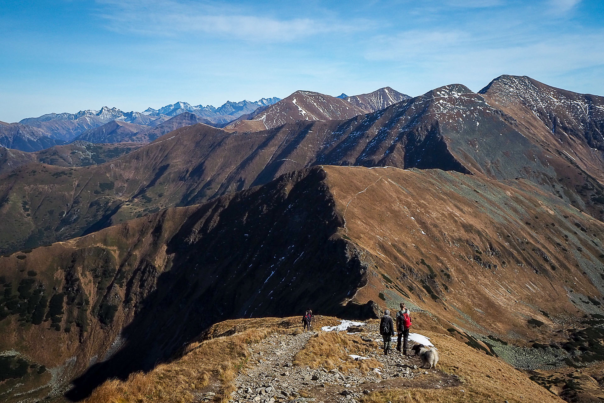 Volovec z Račkovej doliny, ATC (Západné Tatry)