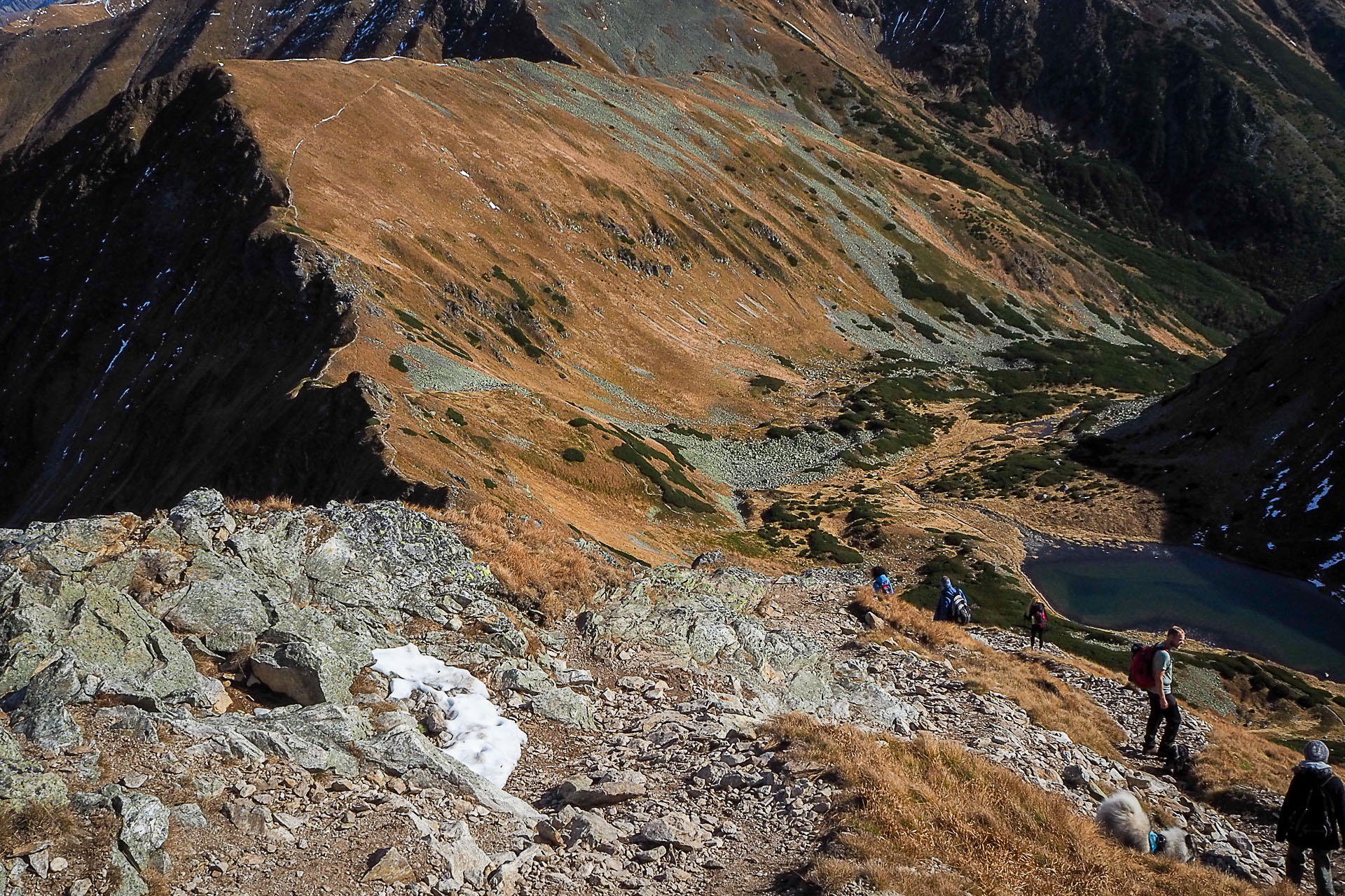 Volovec z Račkovej doliny, ATC (Západné Tatry)