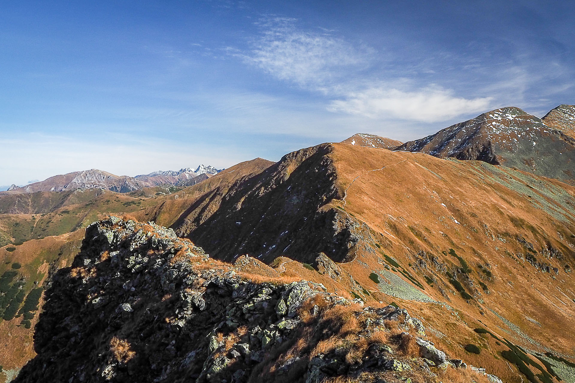 Volovec z Račkovej doliny, ATC (Západné Tatry)