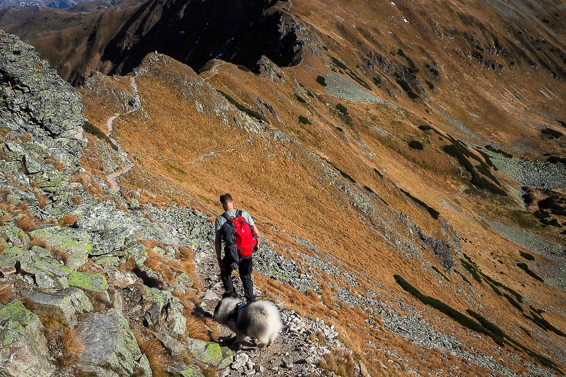 Volovec z Račkovej doliny, ATC (Západné Tatry)