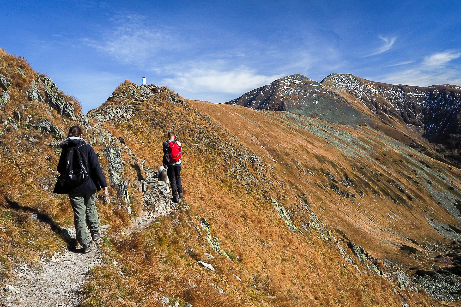 Volovec z Račkovej doliny, ATC (Západné Tatry)