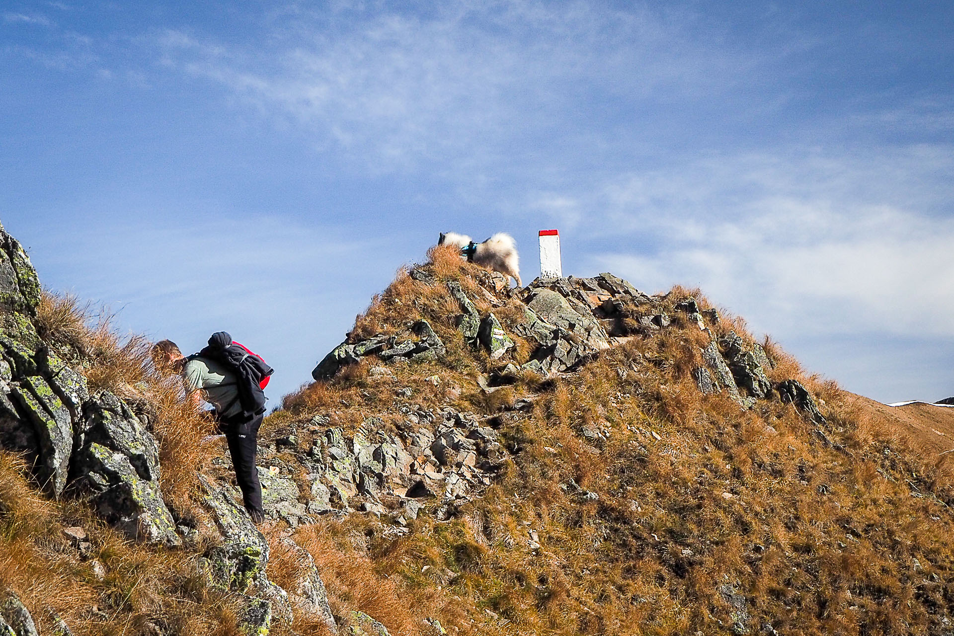 Volovec z Račkovej doliny, ATC (Západné Tatry)