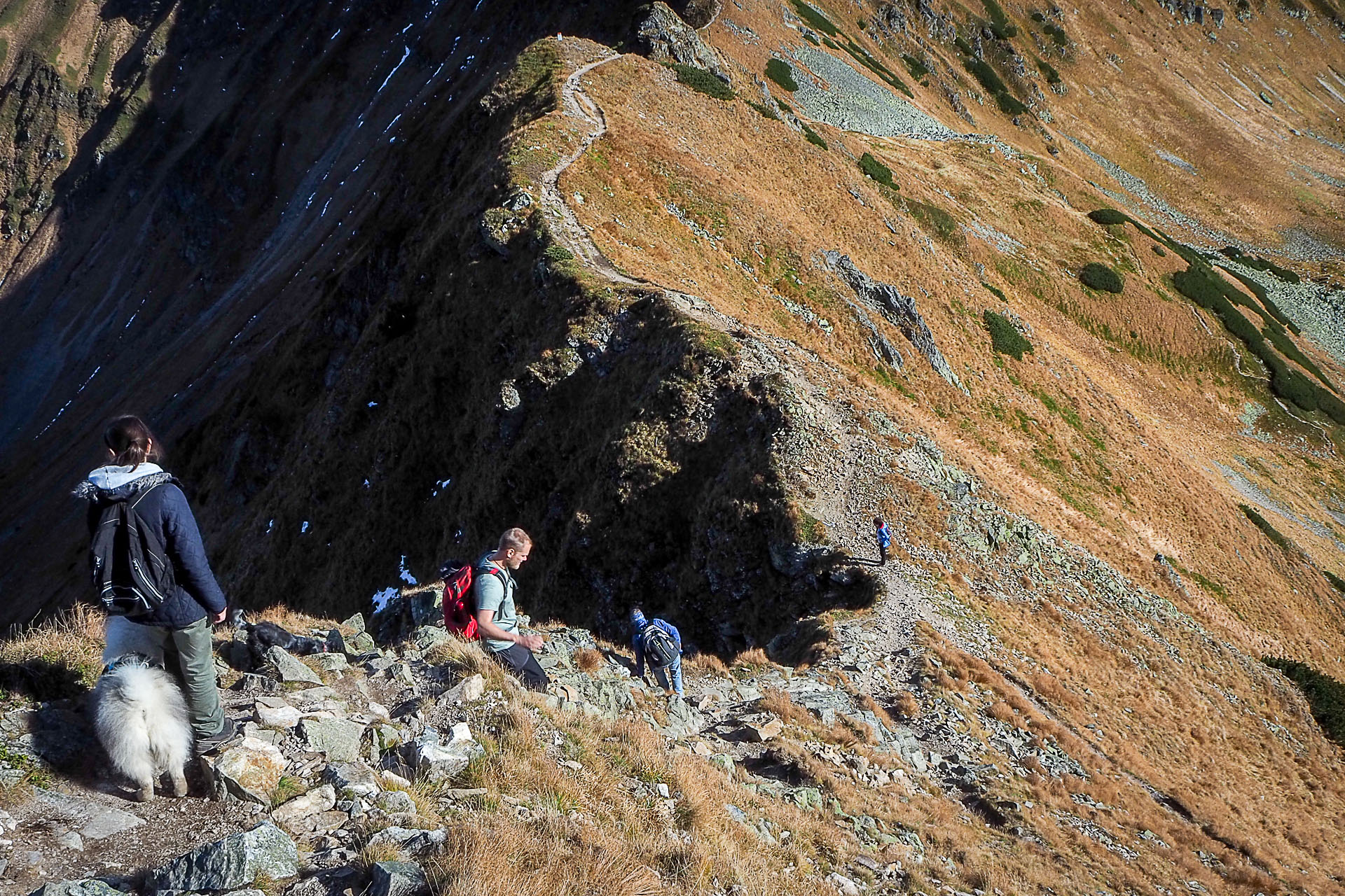 Volovec z Račkovej doliny, ATC (Západné Tatry)