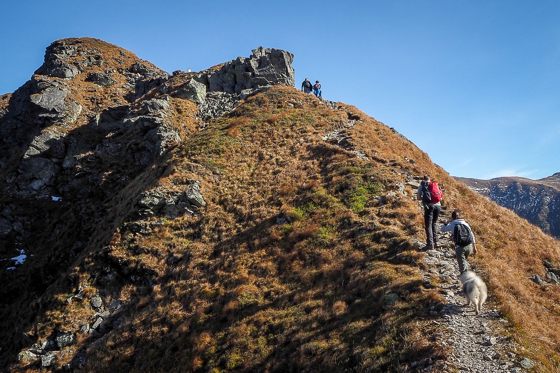 Volovec z Račkovej doliny, ATC (Západné Tatry)