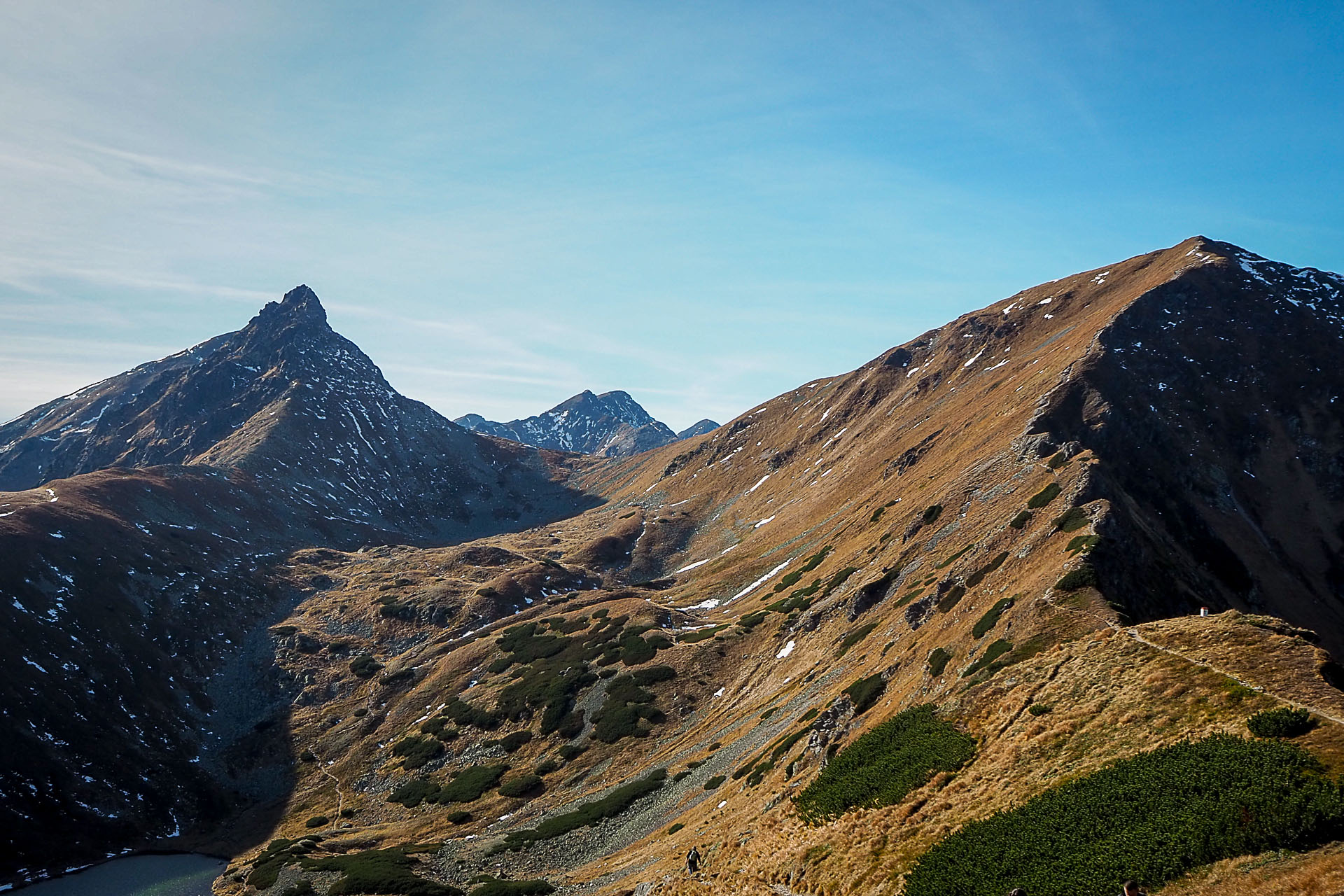 Volovec z Račkovej doliny, ATC (Západné Tatry)