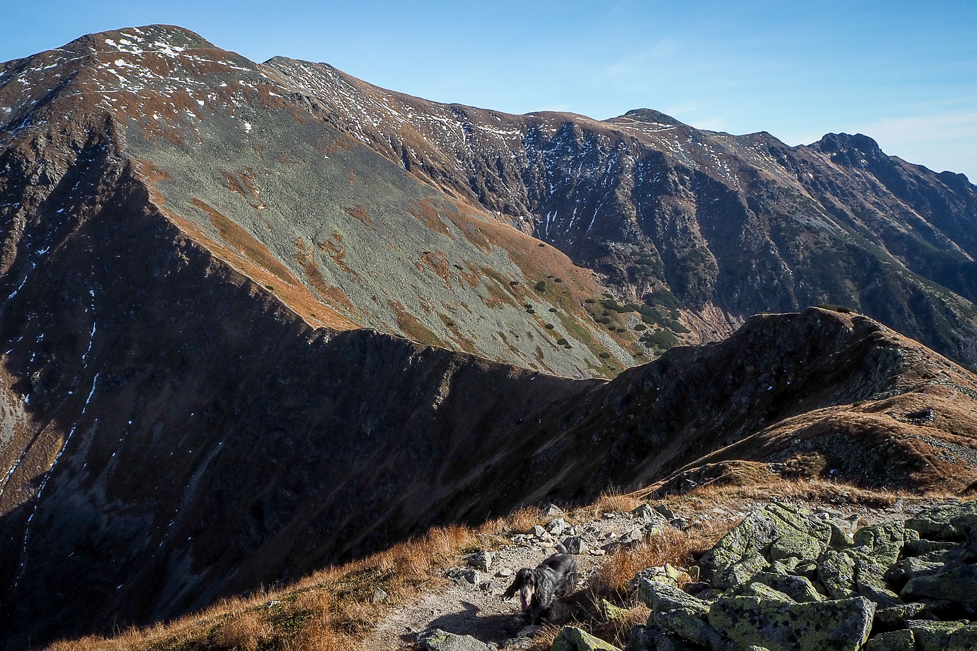 Volovec z Račkovej doliny, ATC (Západné Tatry)