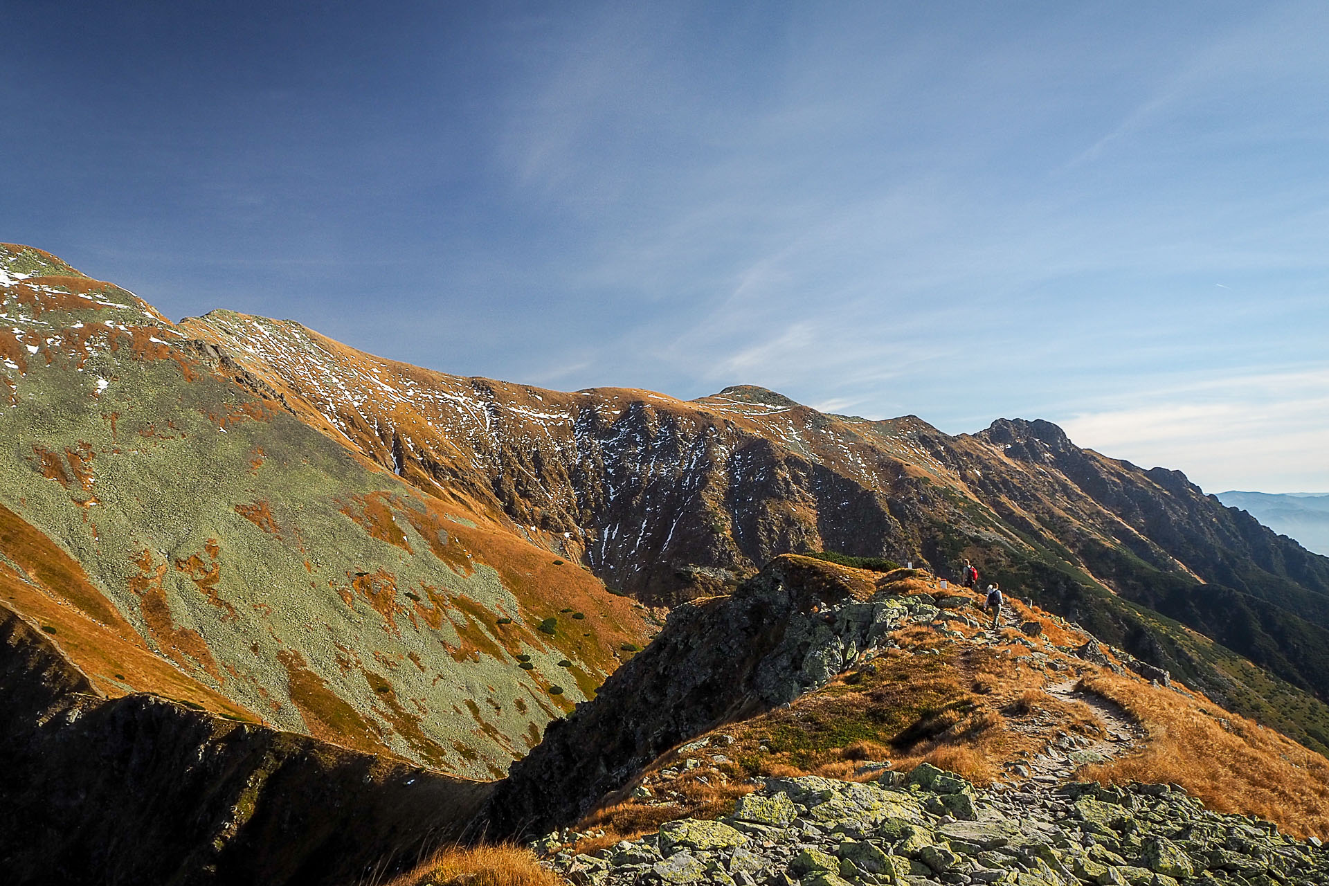 Volovec z Račkovej doliny, ATC (Západné Tatry)