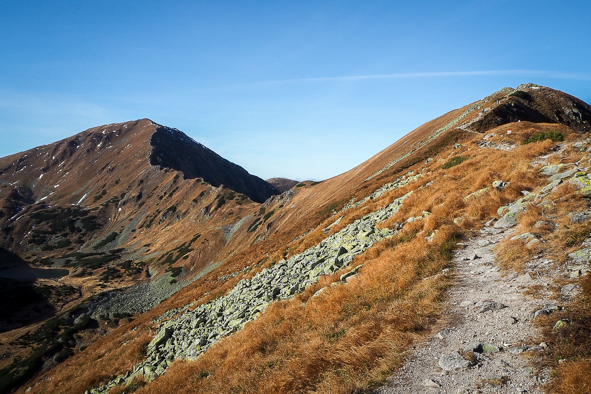 Volovec z Račkovej doliny, ATC (Západné Tatry)