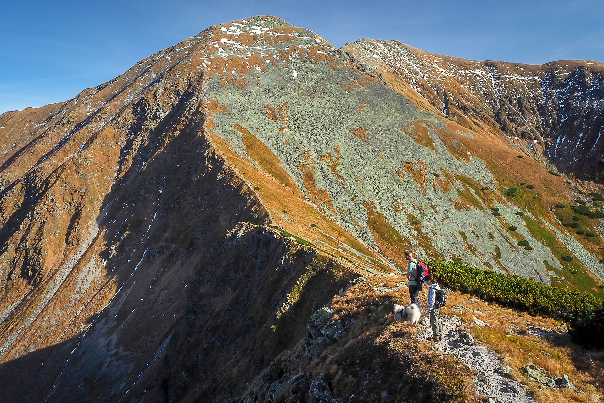 Volovec z Račkovej doliny, ATC (Západné Tatry)