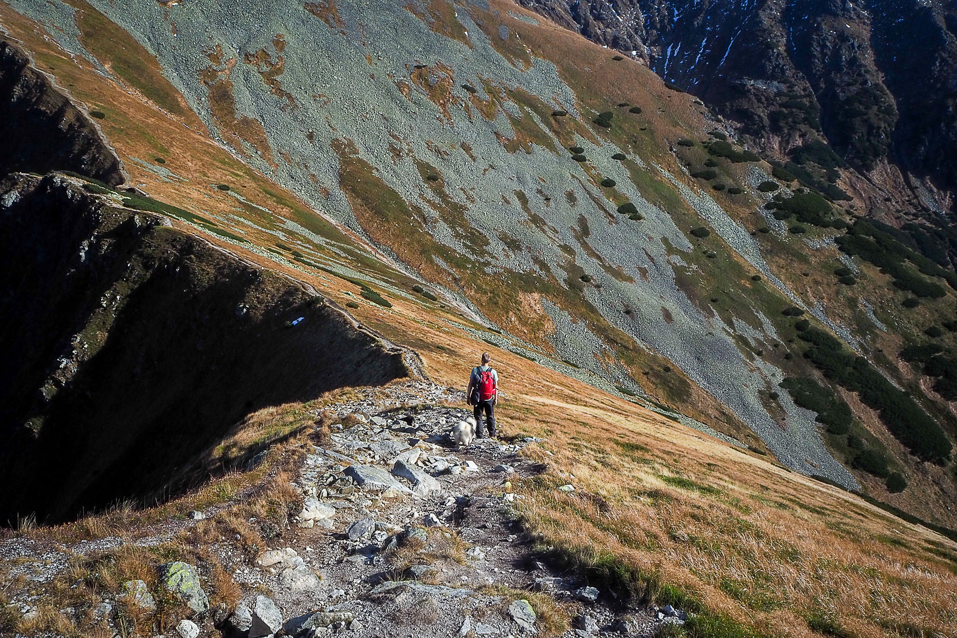 Volovec z Račkovej doliny, ATC (Západné Tatry)