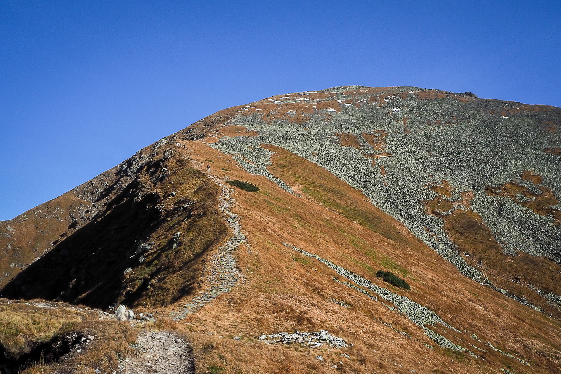 Volovec z Račkovej doliny, ATC (Západné Tatry)