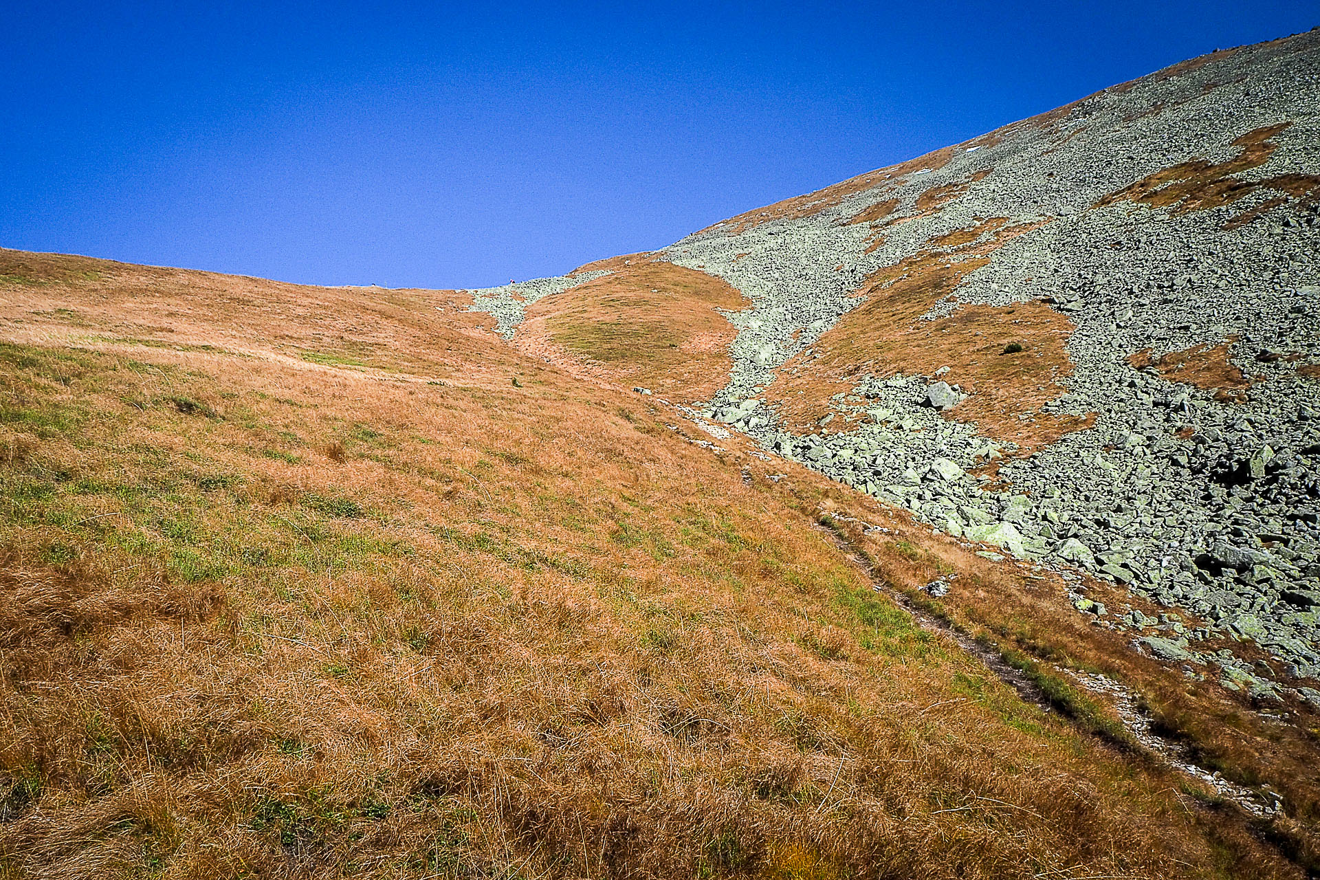 Volovec z Račkovej doliny, ATC (Západné Tatry)