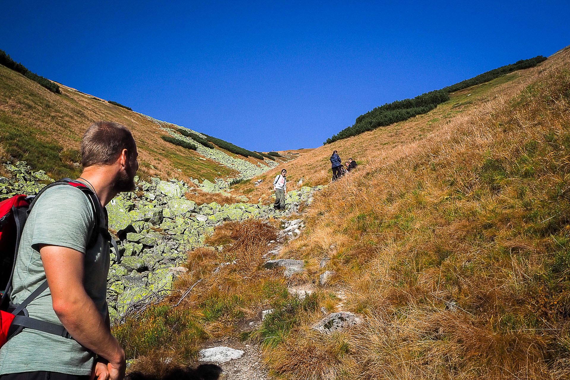 Volovec z Račkovej doliny, ATC (Západné Tatry)