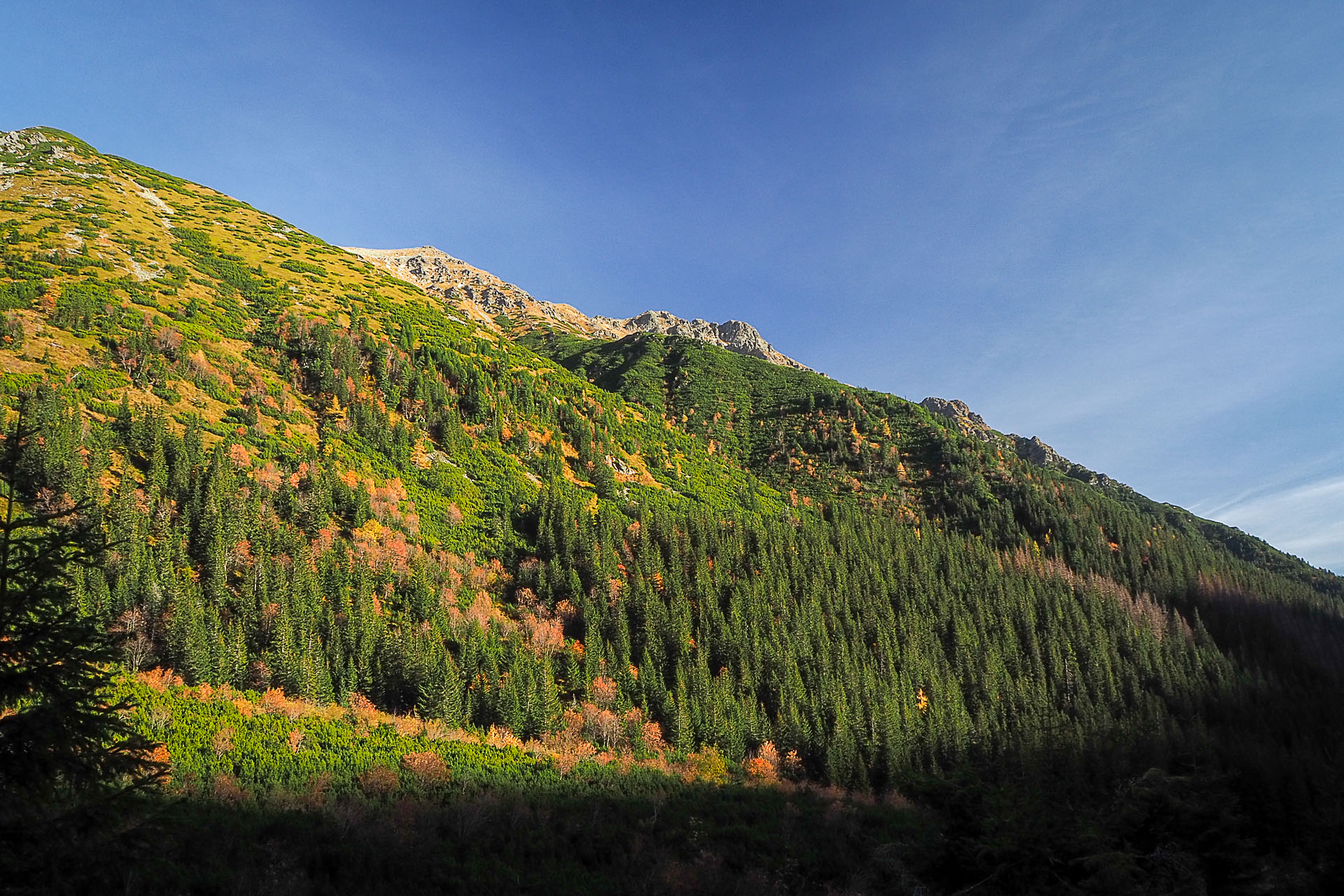 Volovec z Račkovej doliny, ATC (Západné Tatry)