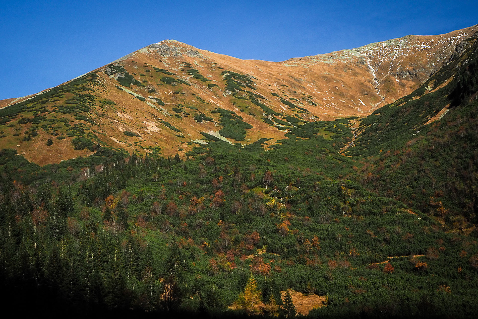 Volovec z Račkovej doliny, ATC (Západné Tatry)