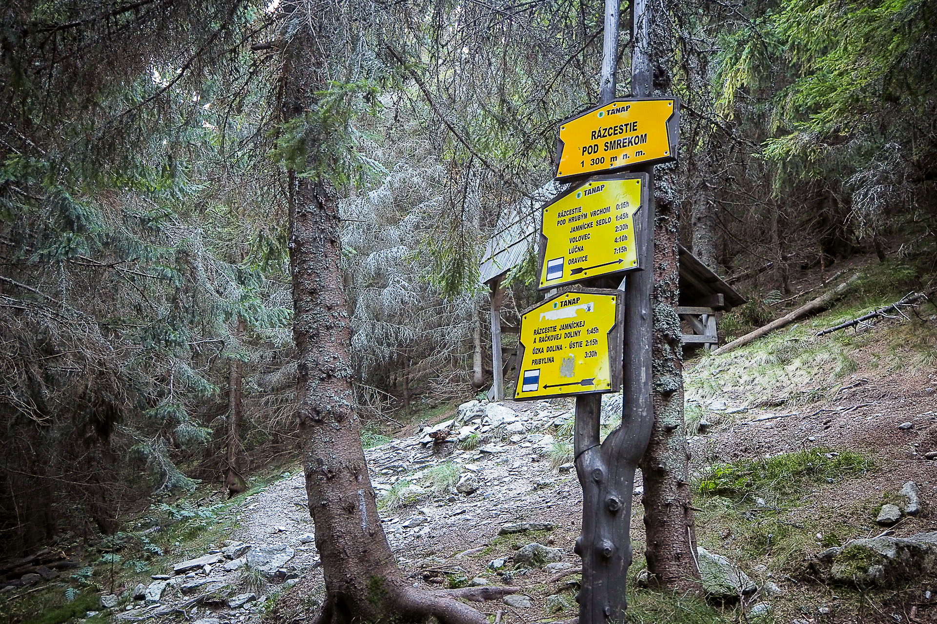 Volovec z Račkovej doliny, ATC (Západné Tatry)