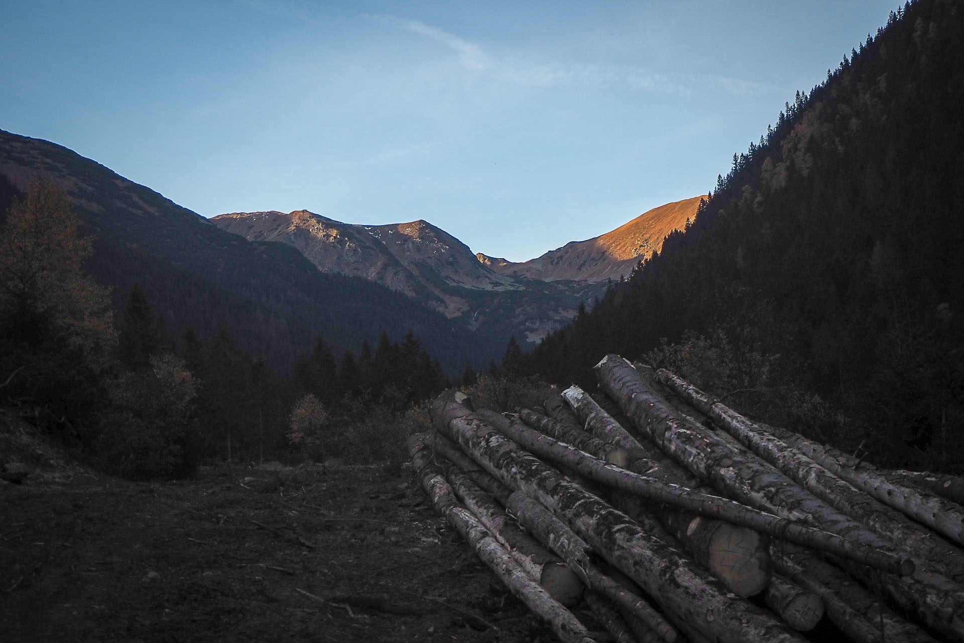 Volovec z Račkovej doliny, ATC (Západné Tatry)