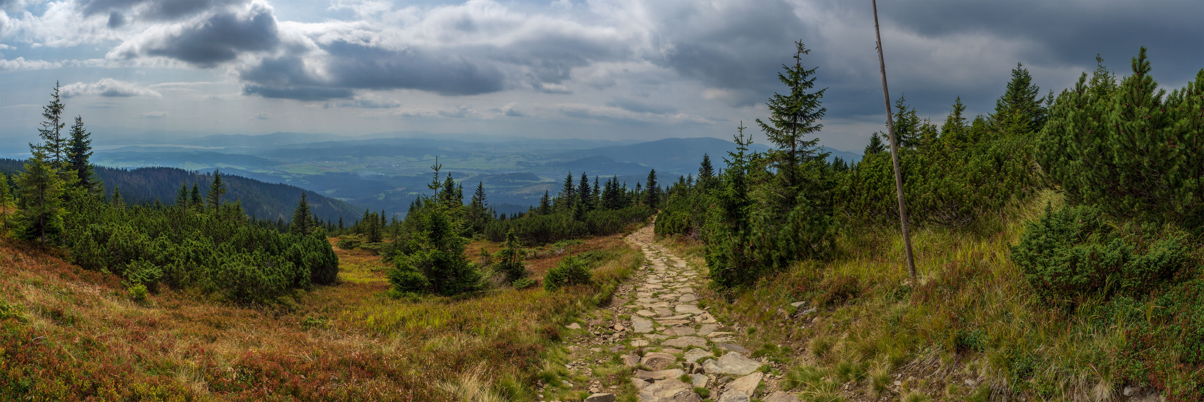 Babia hora z Pasekov (Oravské Beskydy)