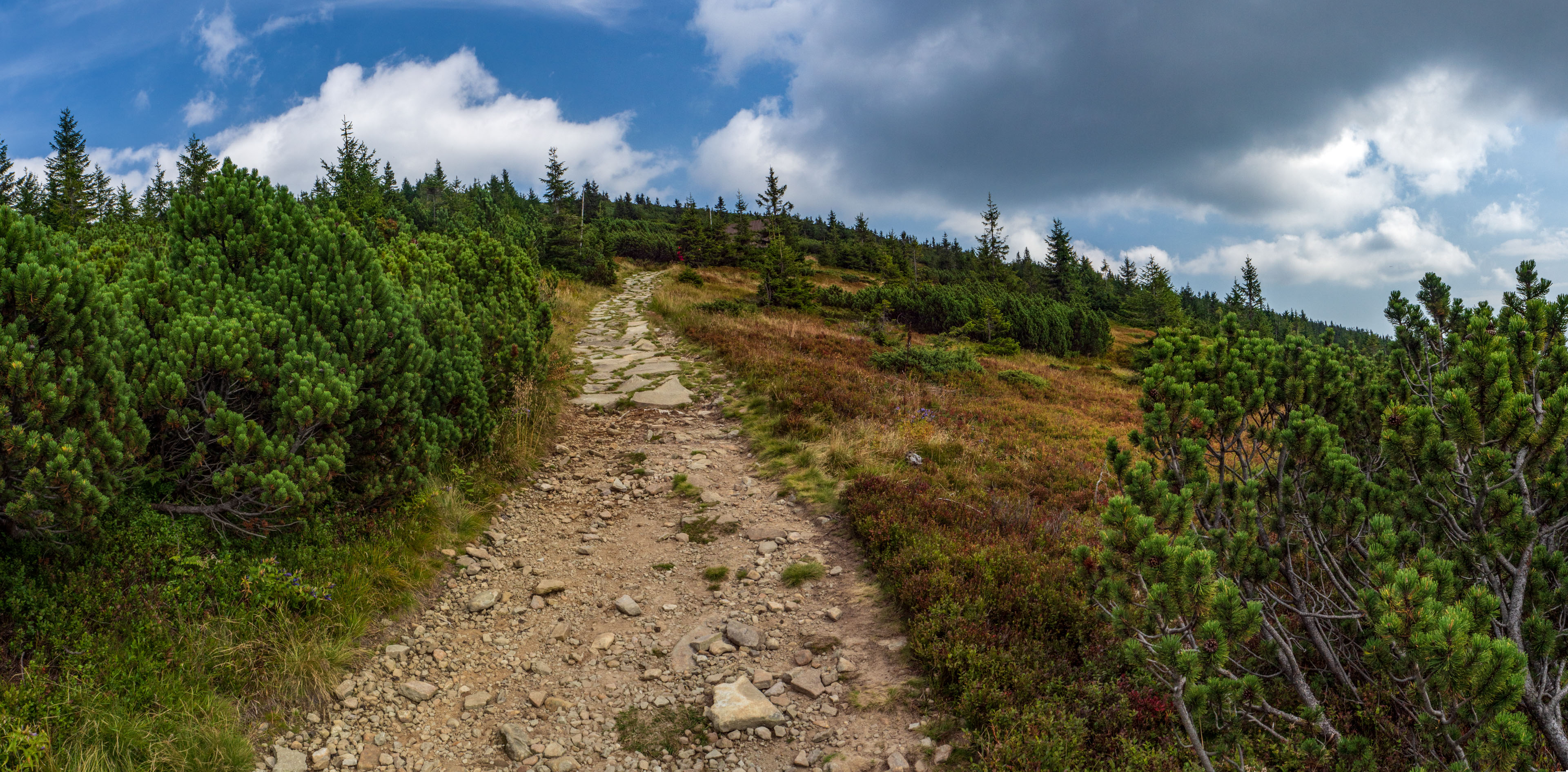 Babia hora z Pasekov (Oravské Beskydy)