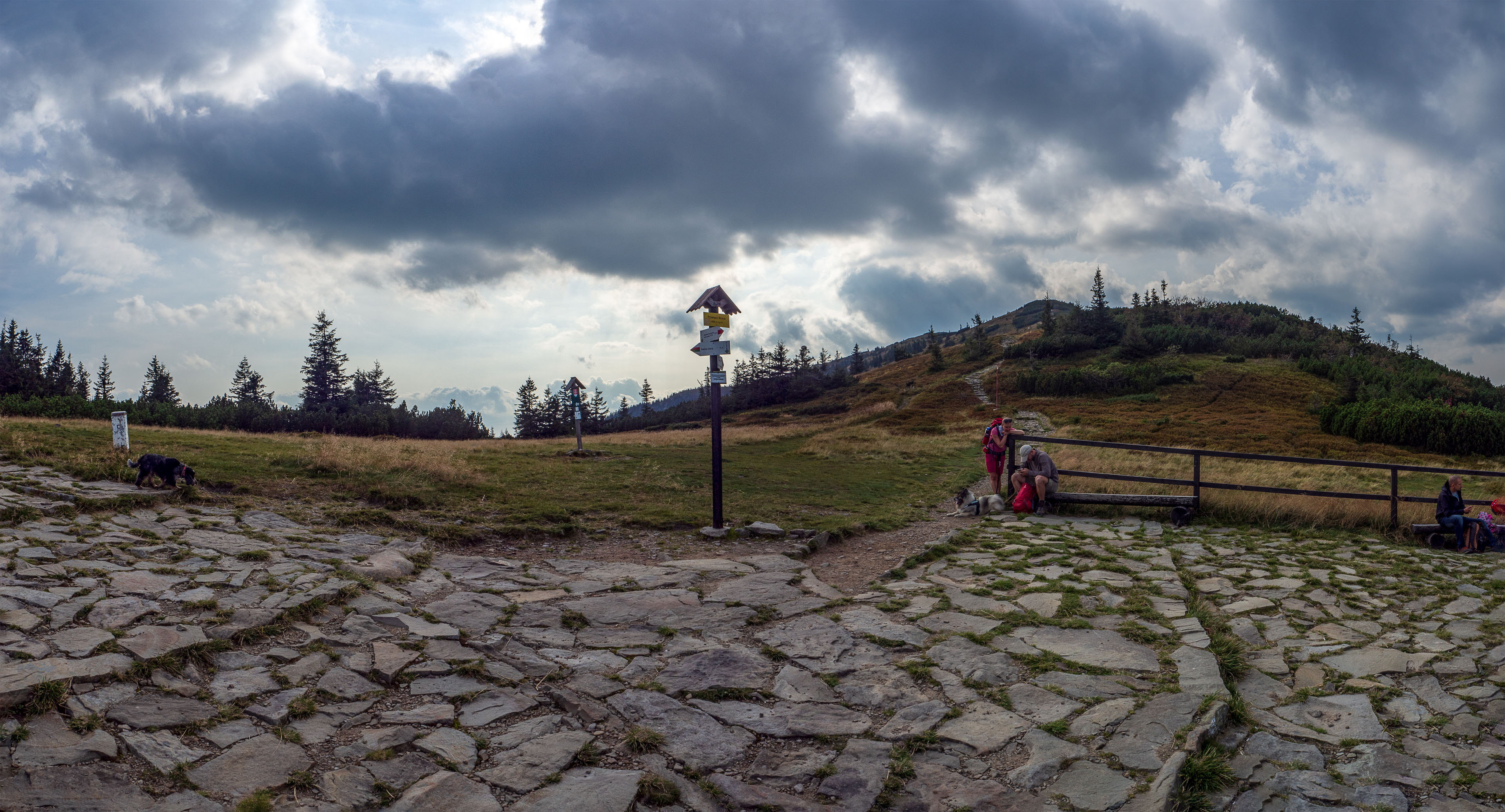 Babia hora z Pasekov (Oravské Beskydy)