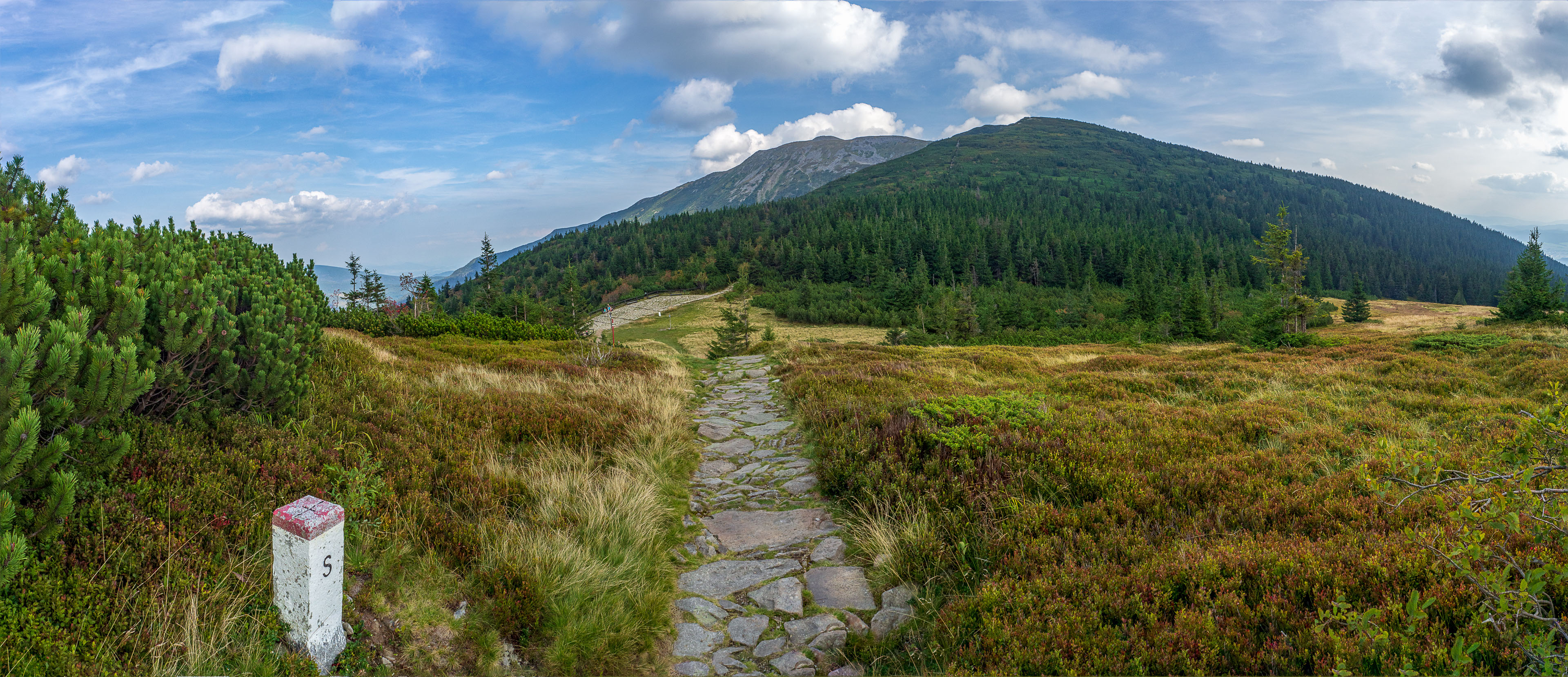 Babia hora z Pasekov (Oravské Beskydy)