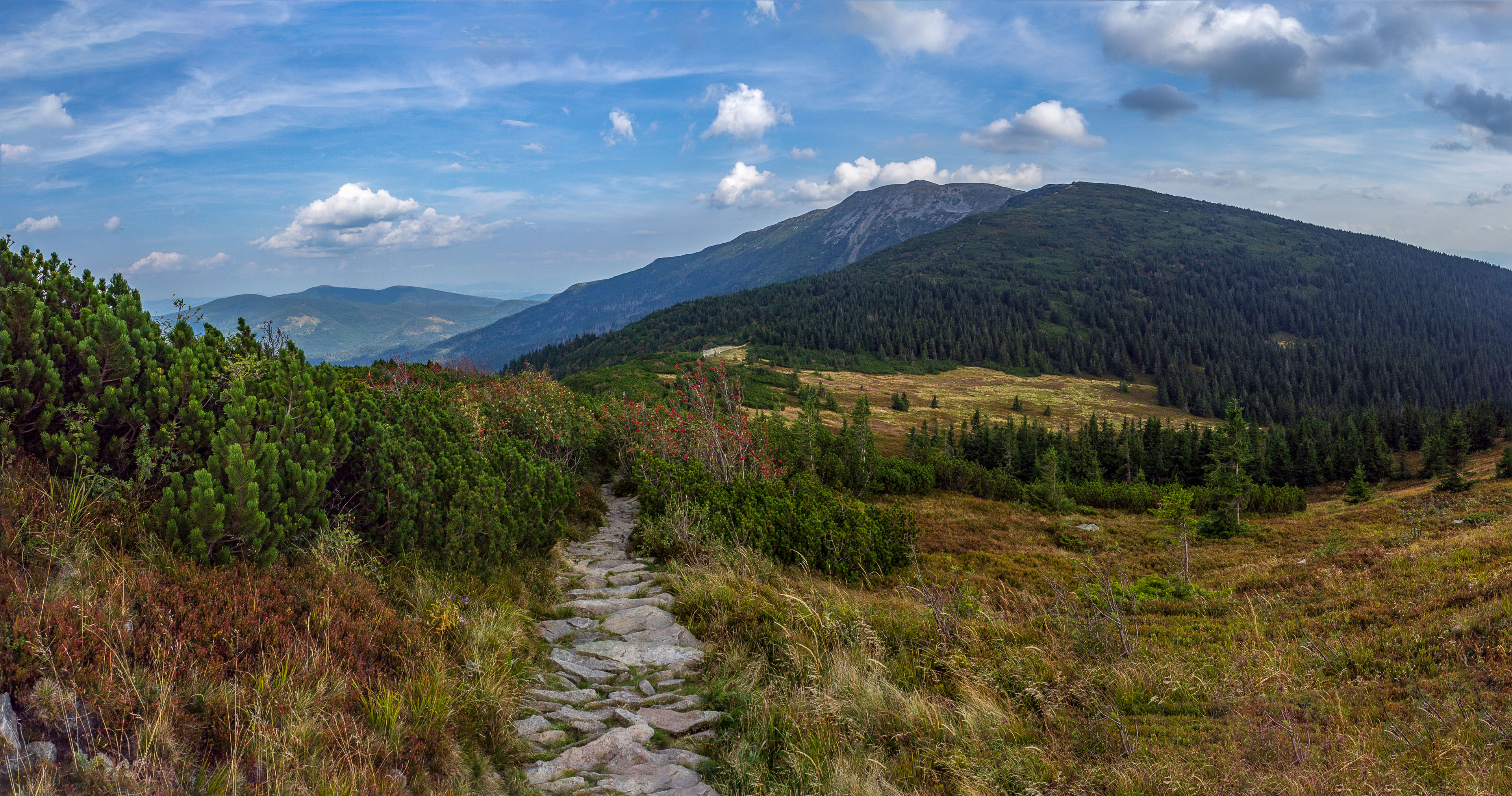 Babia hora z Pasekov (Oravské Beskydy)