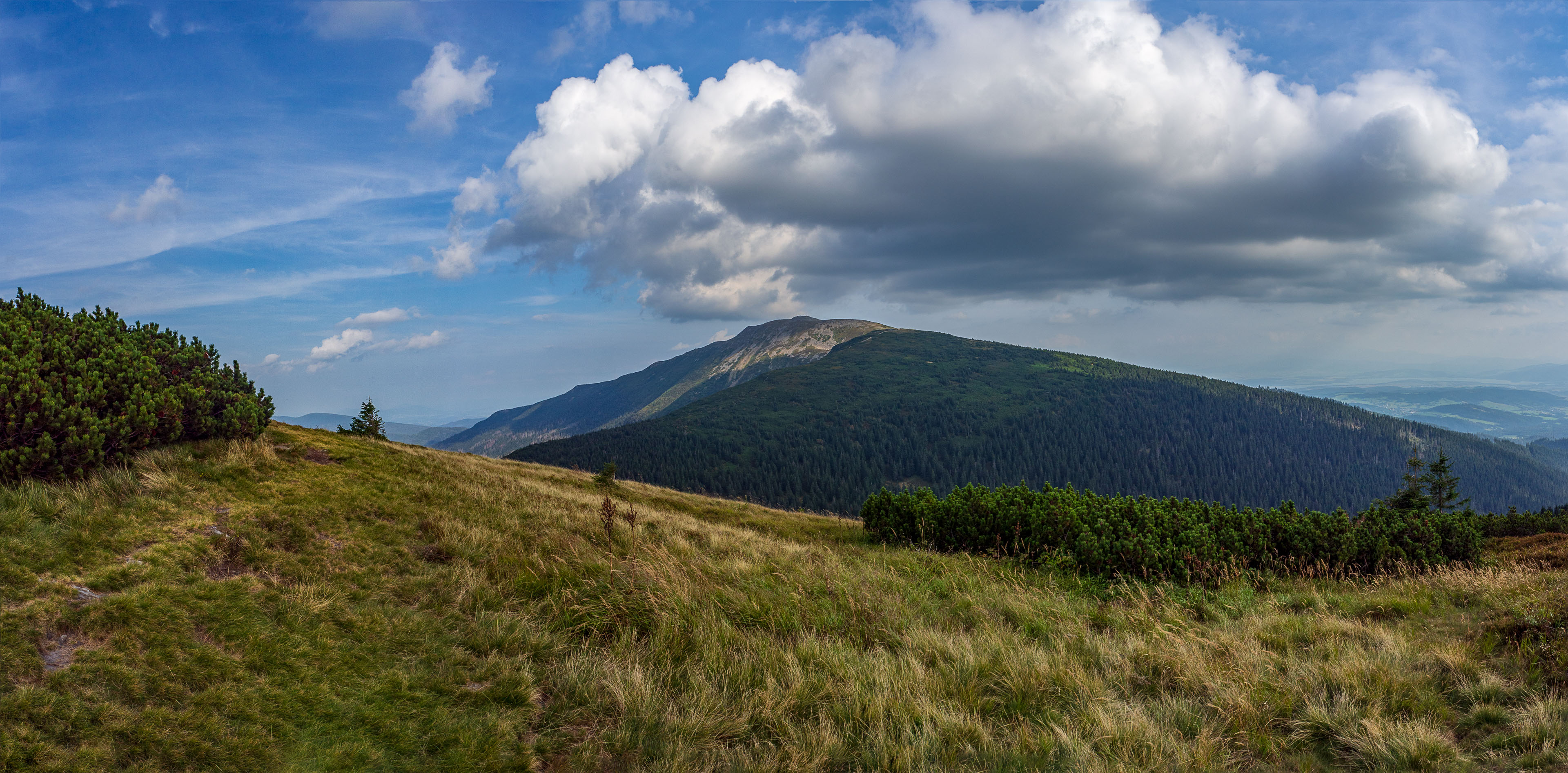 Babia hora z Pasekov (Oravské Beskydy)