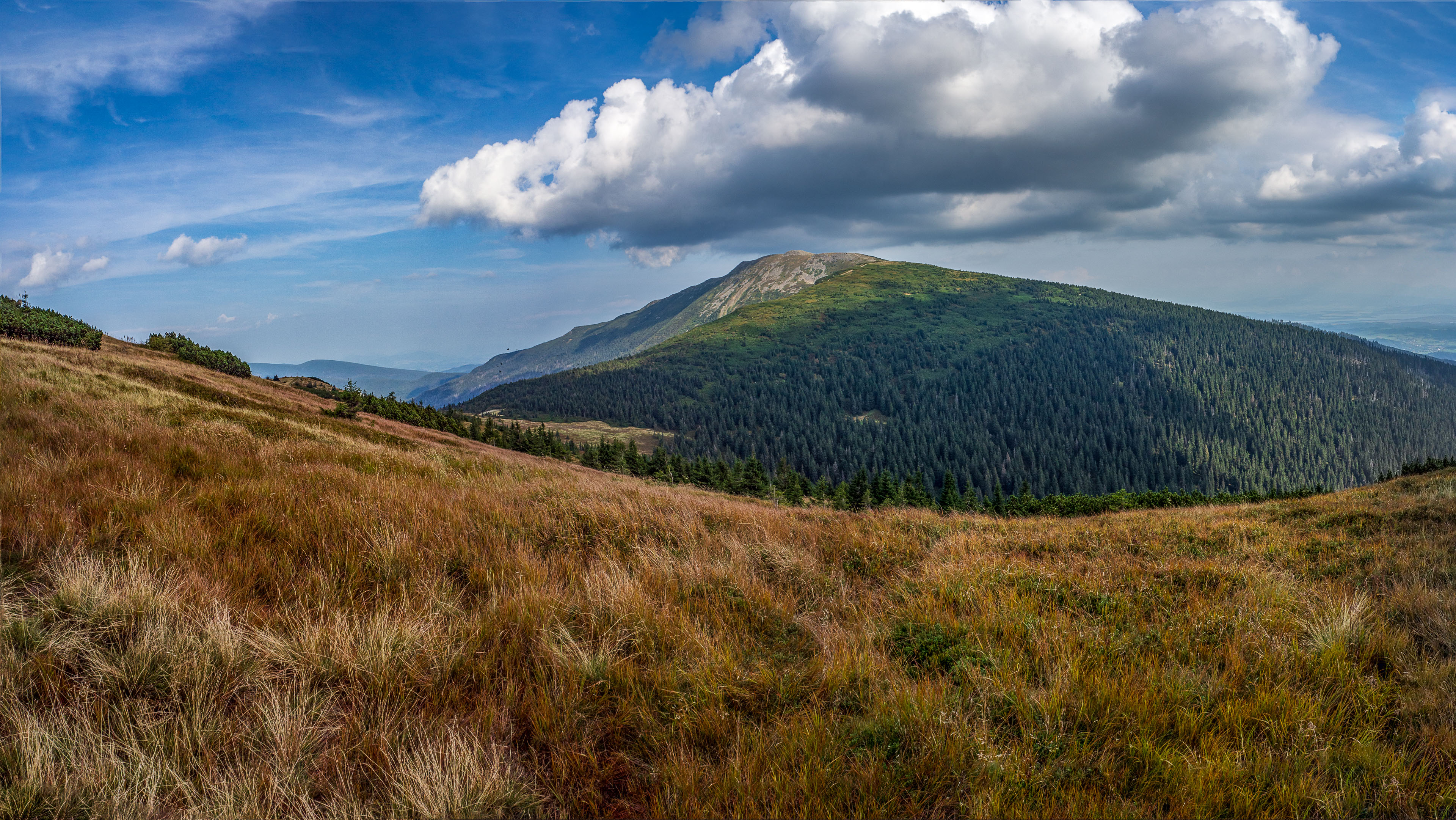 Babia hora z Pasekov (Oravské Beskydy)