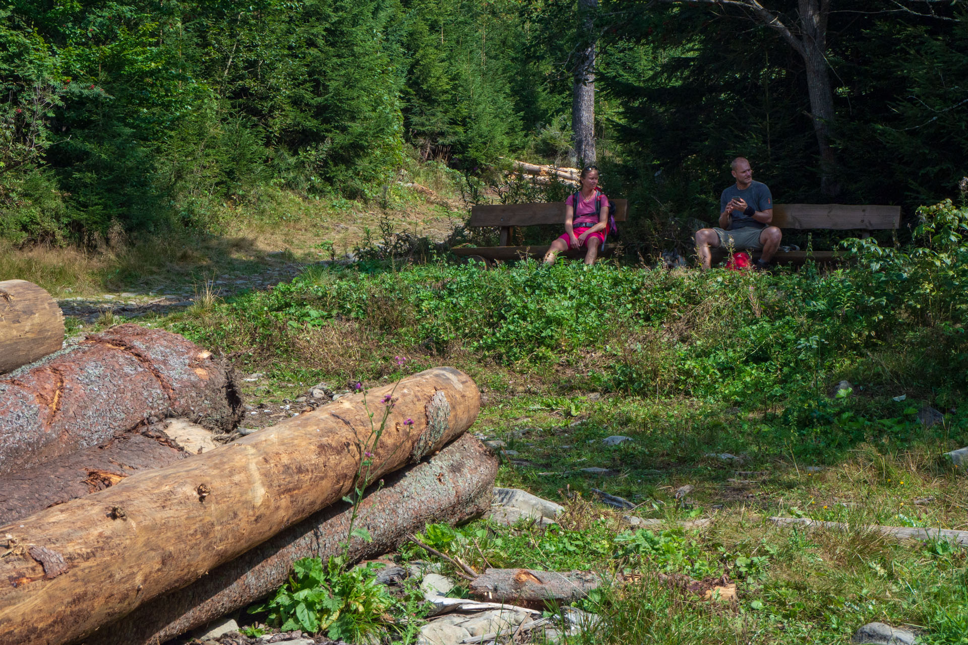 Babia hora z Pasekov (Oravské Beskydy)