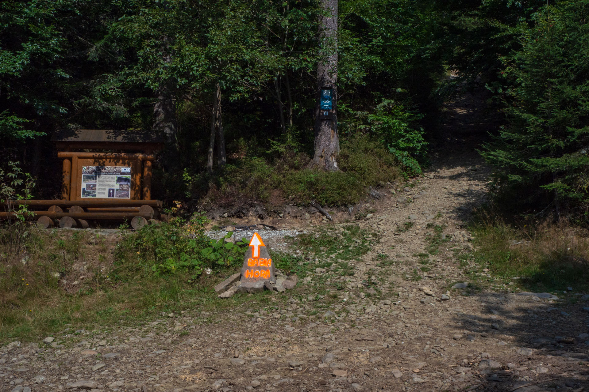 Babia hora z Pasekov (Oravské Beskydy)