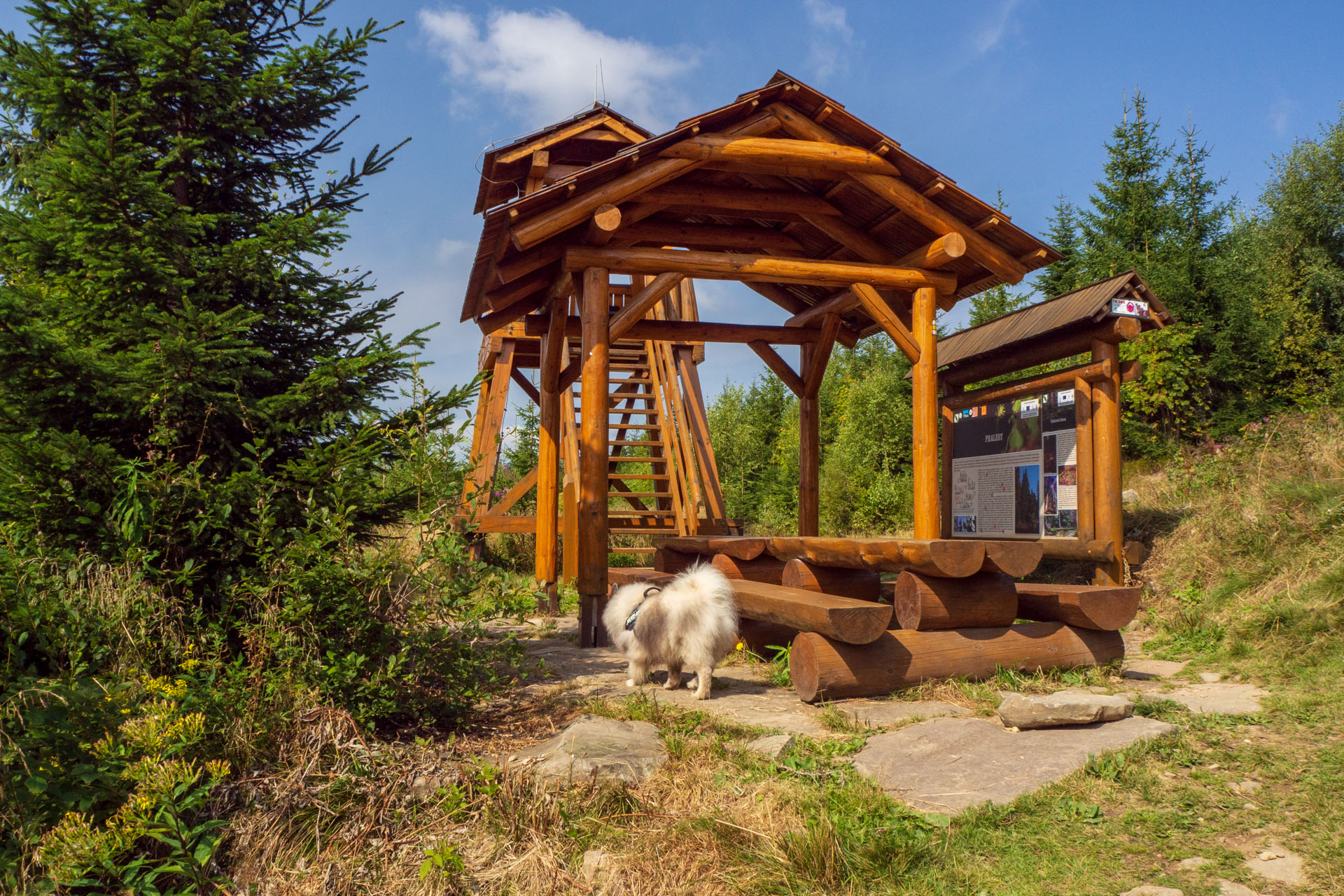 Babia hora z Pasekov (Oravské Beskydy)