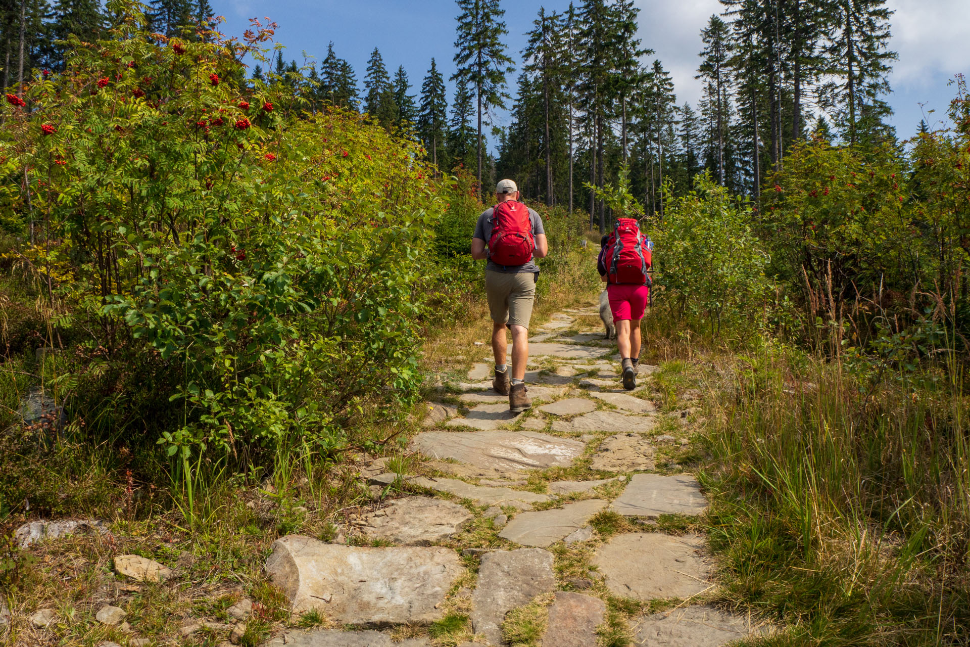 Babia hora z Pasekov (Oravské Beskydy)