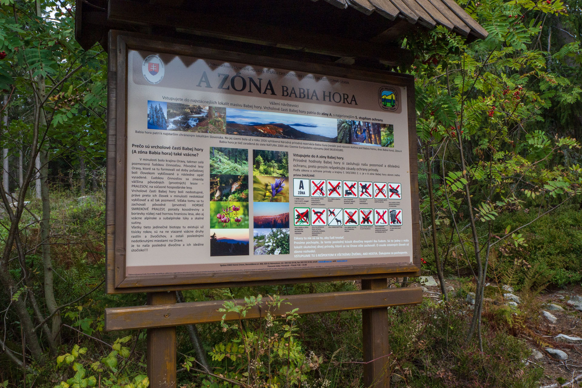 Babia hora z Pasekov (Oravské Beskydy)