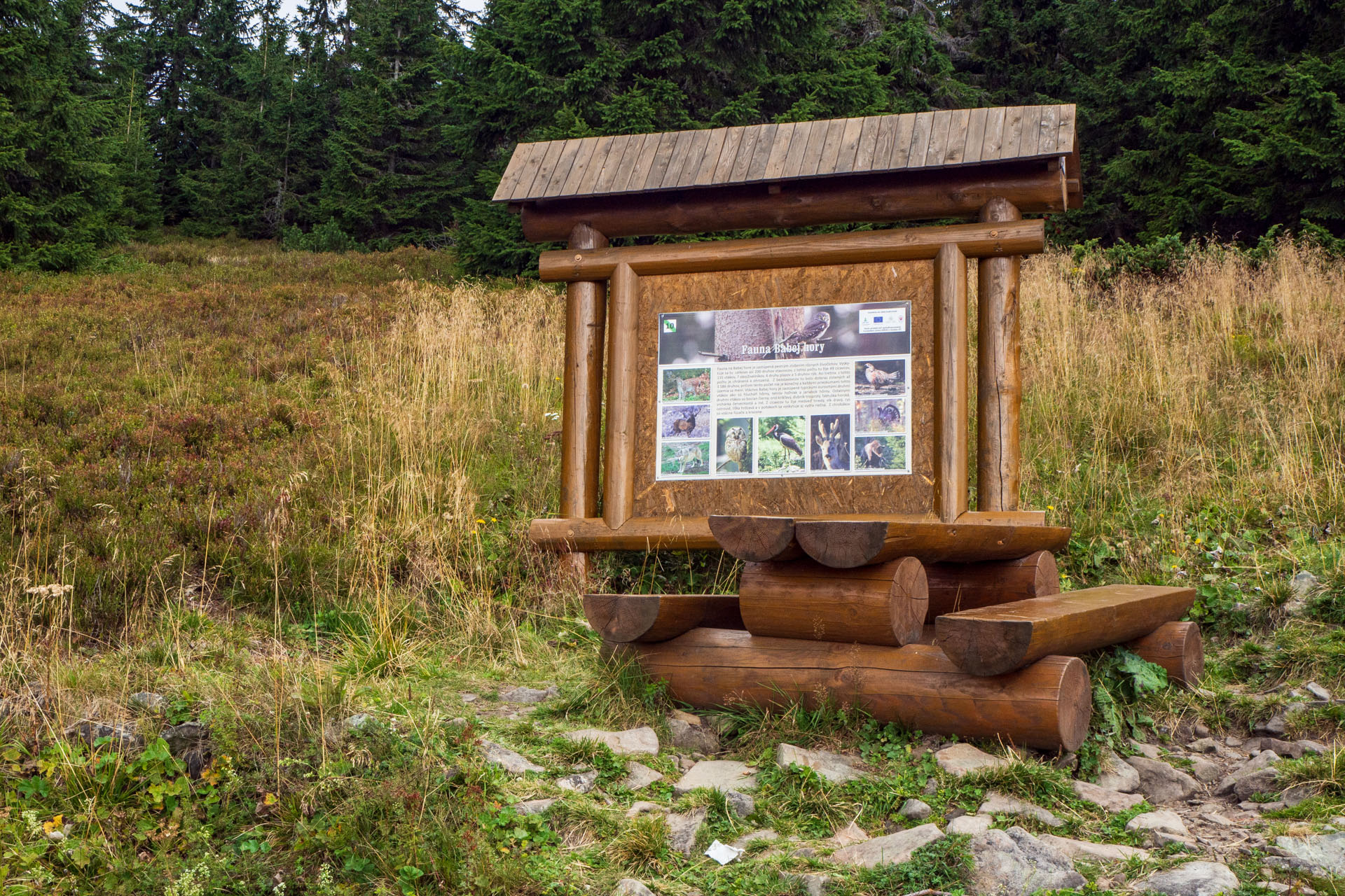 Babia hora z Pasekov (Oravské Beskydy)