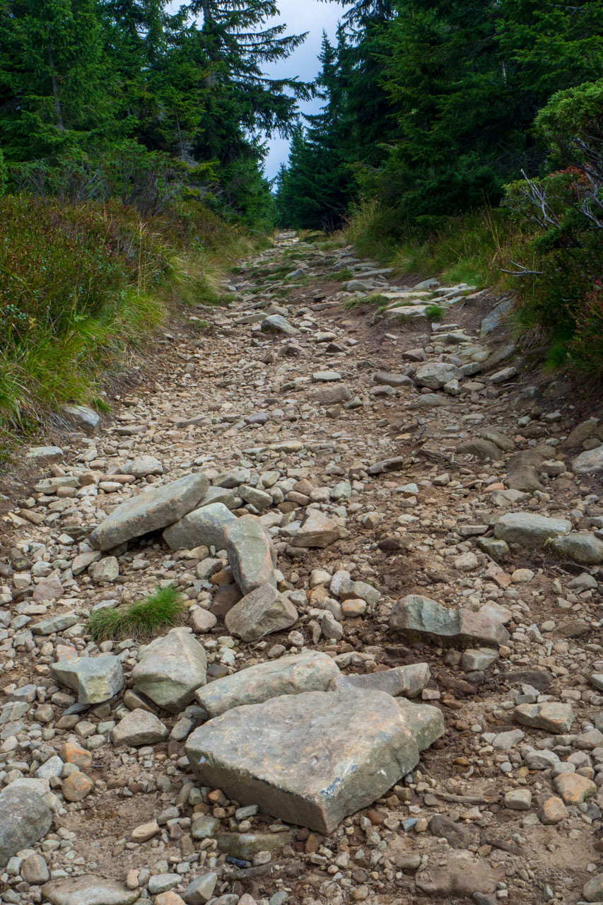 Babia hora z Pasekov (Oravské Beskydy)