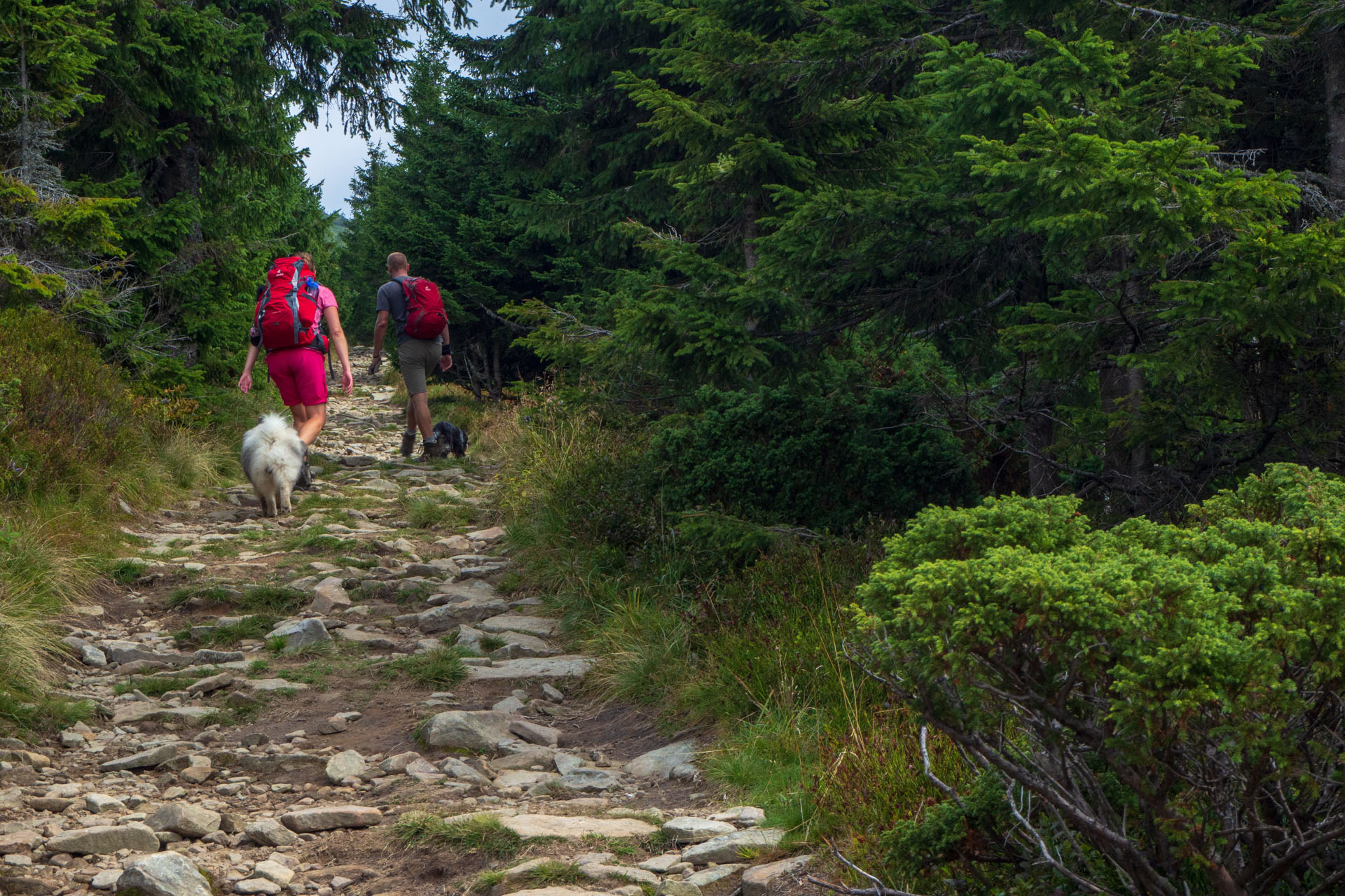 Babia hora z Pasekov (Oravské Beskydy)