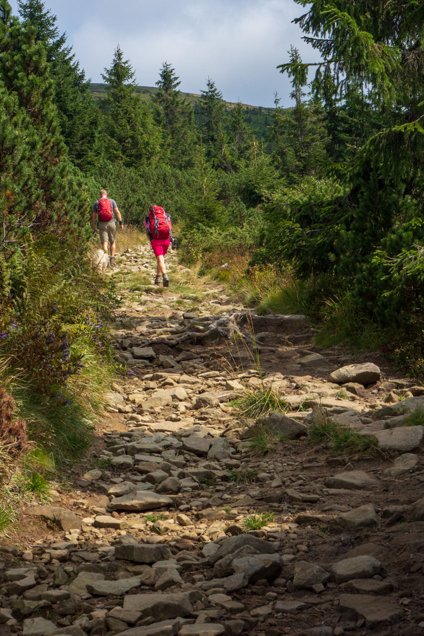 Babia hora z Pasekov (Oravské Beskydy)