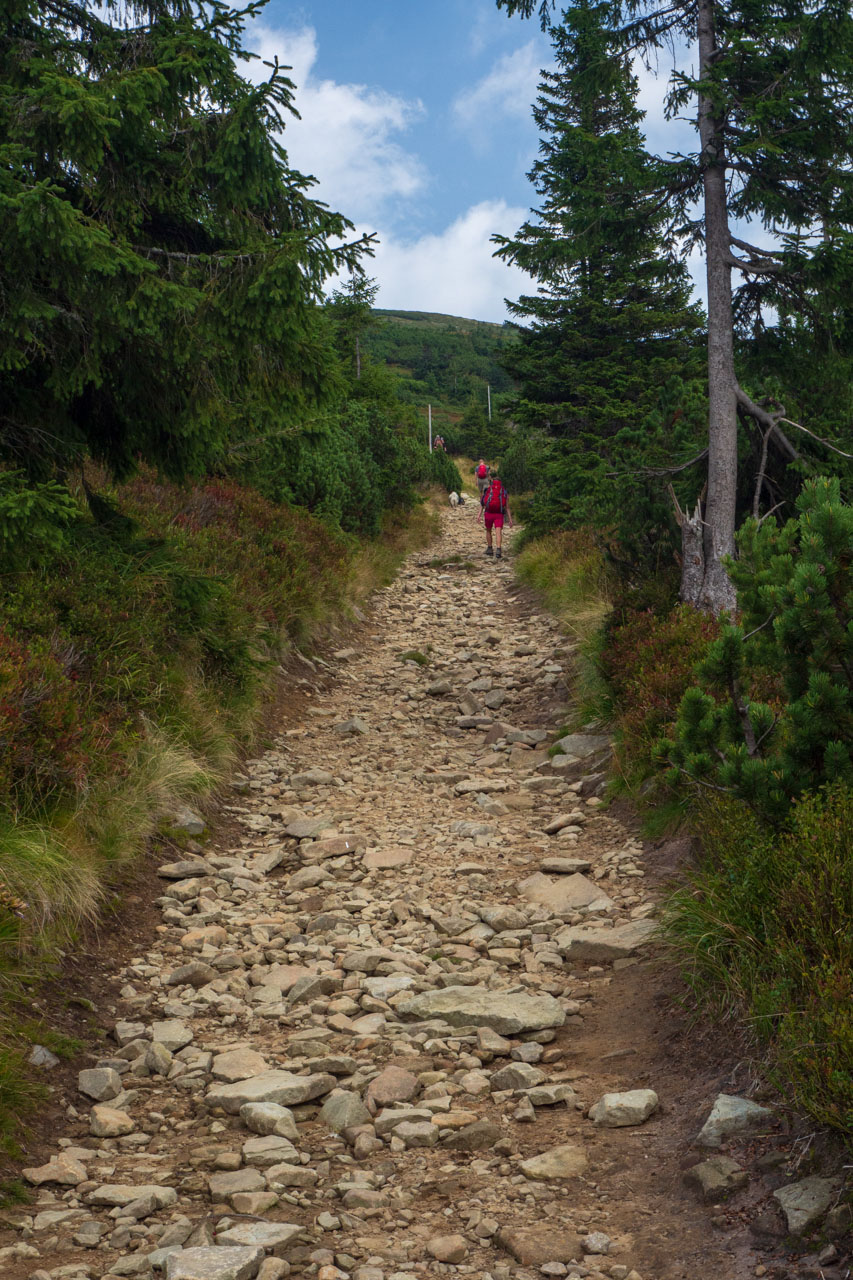 Babia hora z Pasekov (Oravské Beskydy)