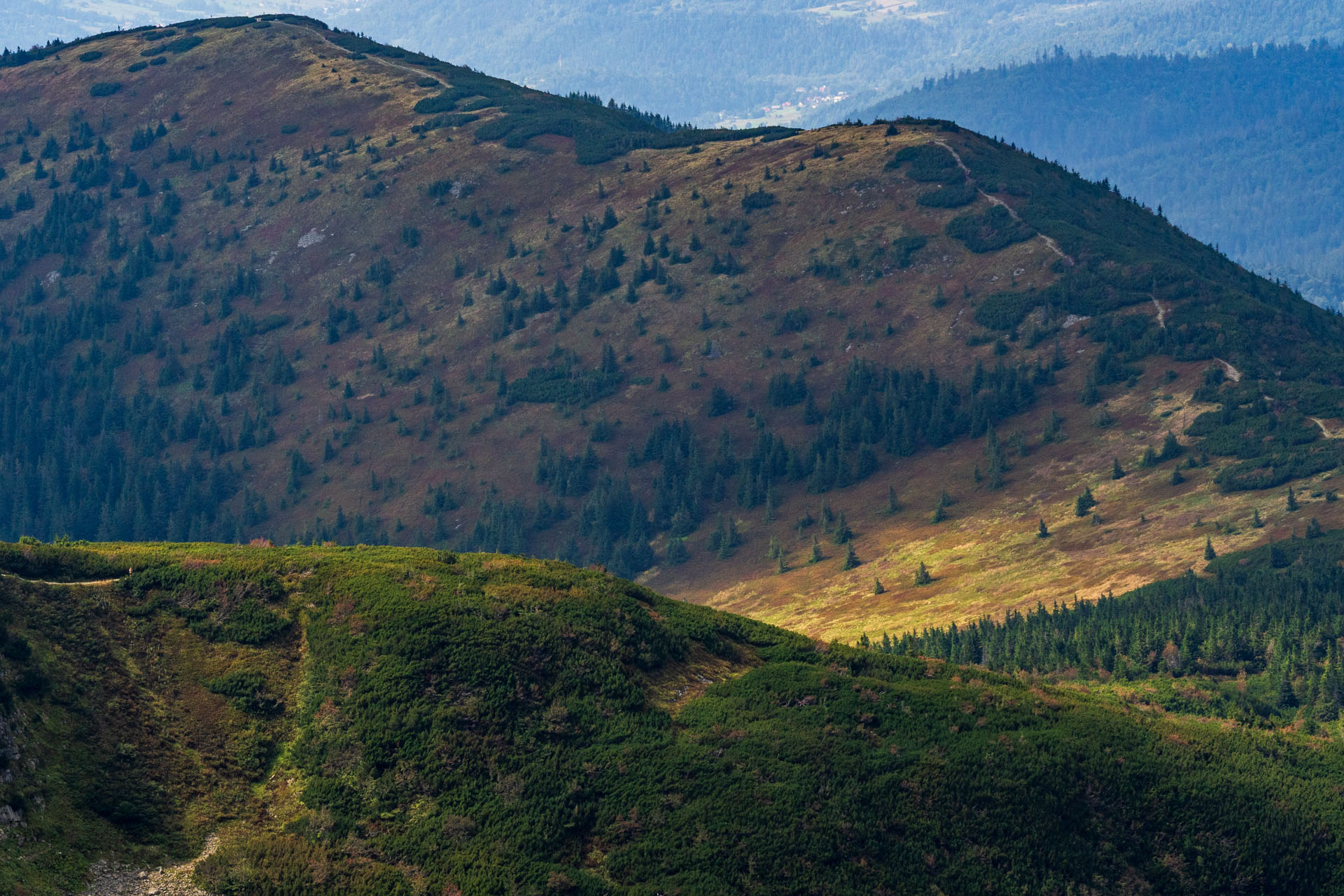 Babia hora z Pasekov (Oravské Beskydy)