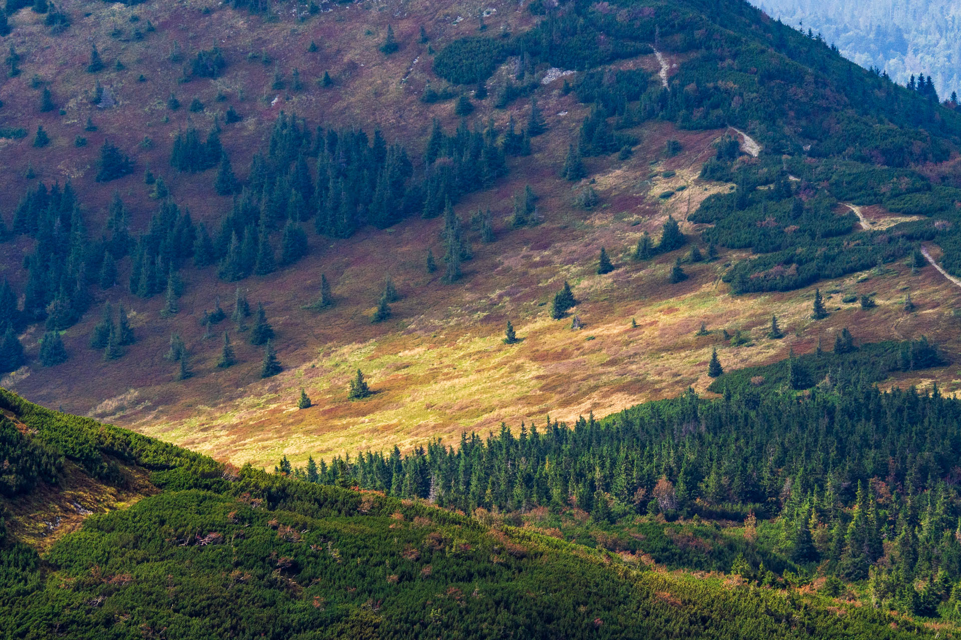 Babia hora z Pasekov (Oravské Beskydy)