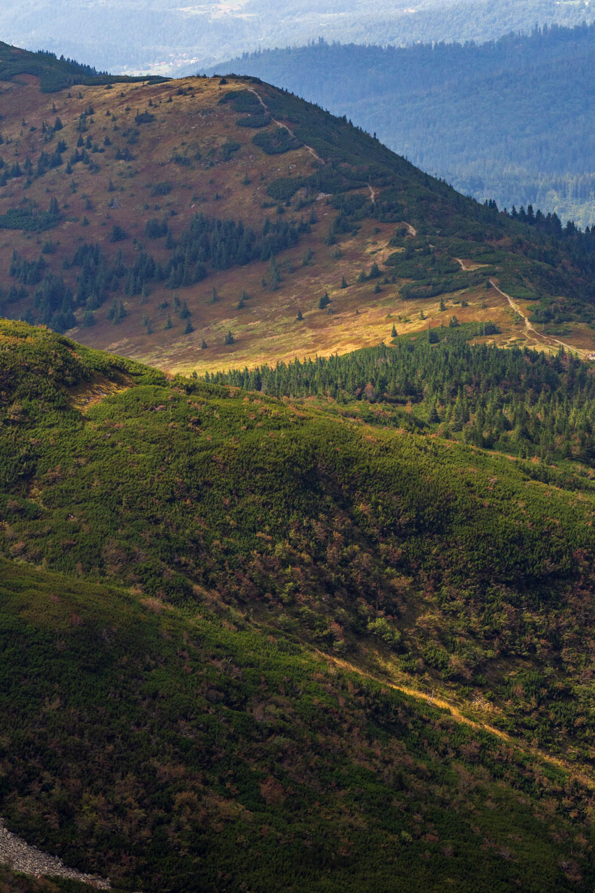 Babia hora z Pasekov (Oravské Beskydy)