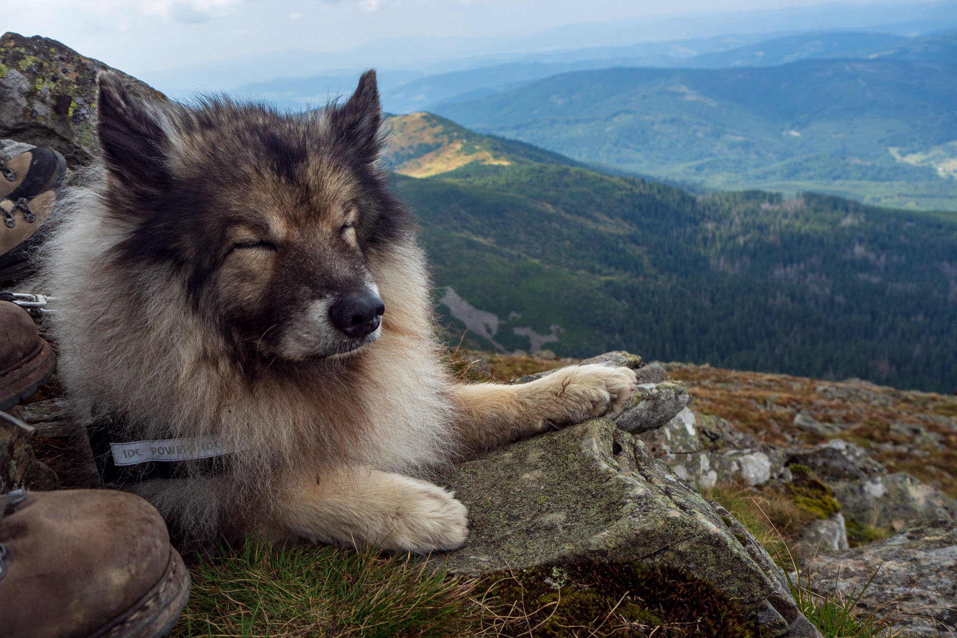 Babia hora z Pasekov (Oravské Beskydy)